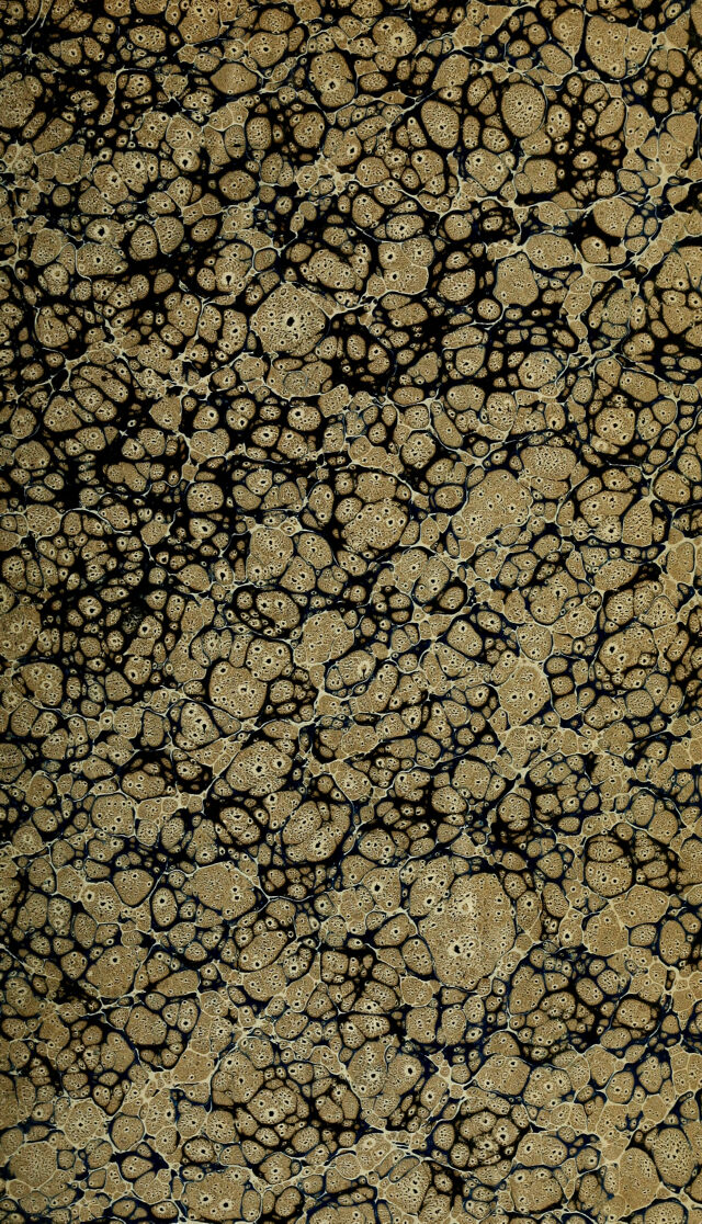 digitised image 3
