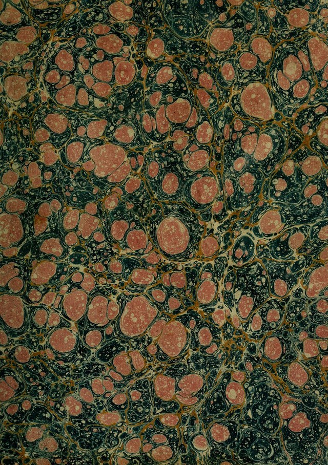 digitised image 3