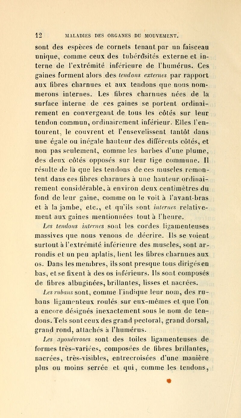 sont des espèces de cornets tenaot par un faisceau unique, comme ceux des tubércîsités externe et in- terne de l'extrémité inférieure de l'humérus. Ces gaines forment alors des tendons externes par rapport aux fibres charnues et aux tendons que nous nom- merons internes. Les fibres charnues nées de la surface interne de ces gaines se portent ordinai- rement en convergeant de tous les côtés sur leur tendon commun, ordinairement inférieur. Elles l'en- tourent, le couvrent et l'enseveiissent tantôt dans une égale ou inégale hauteur des différents côtés, et non pas seulement, comme les barbes d'une plume, des deux côlés opposés sur leur tige commune. Il résulte de là que les tendons de ces muscles remon- tent dans ces fibres charnues à une hauteur ordinai- rement considérable, à environ deux centimètres du fond de leur gaine, comme on le voit à i'avant-bras et à la jambe, etc., et qu'ils sont internes relative- ment aux gaines mentionnées tout à l'heure. Les tendons internes sont les cordes ligamenteuses massives que nous venons de décrire, ils se voient surtout à l'extrémité inférieure des muscles, sont ar- rondis et un peu aplatis, lient les fibres charnues aux os. Dans les membres, ils sont presque tous dirigés en bas, et se fixent à des os inférieurs, ils sont composés de fibres albuginées, brillantes, lisses et nacrées. Les rubans sont^ comme l'indique leur nom, des ru- bans ligamenteux roulés sur eux-mêmes et que l'on a encore désignés inexactement sous le nom de ten- dons. Tels sont ceux des grand pectoral, grand dorsal, grand rond, attachés à l'humérus. Les aponévroses sont des toiles ligamenteuses de formes très-variées, composées de fibres brillantes, nacrées, très-visibles, entrecroisées d'une manière plus ou moins serrée et qui, comme les tendons,