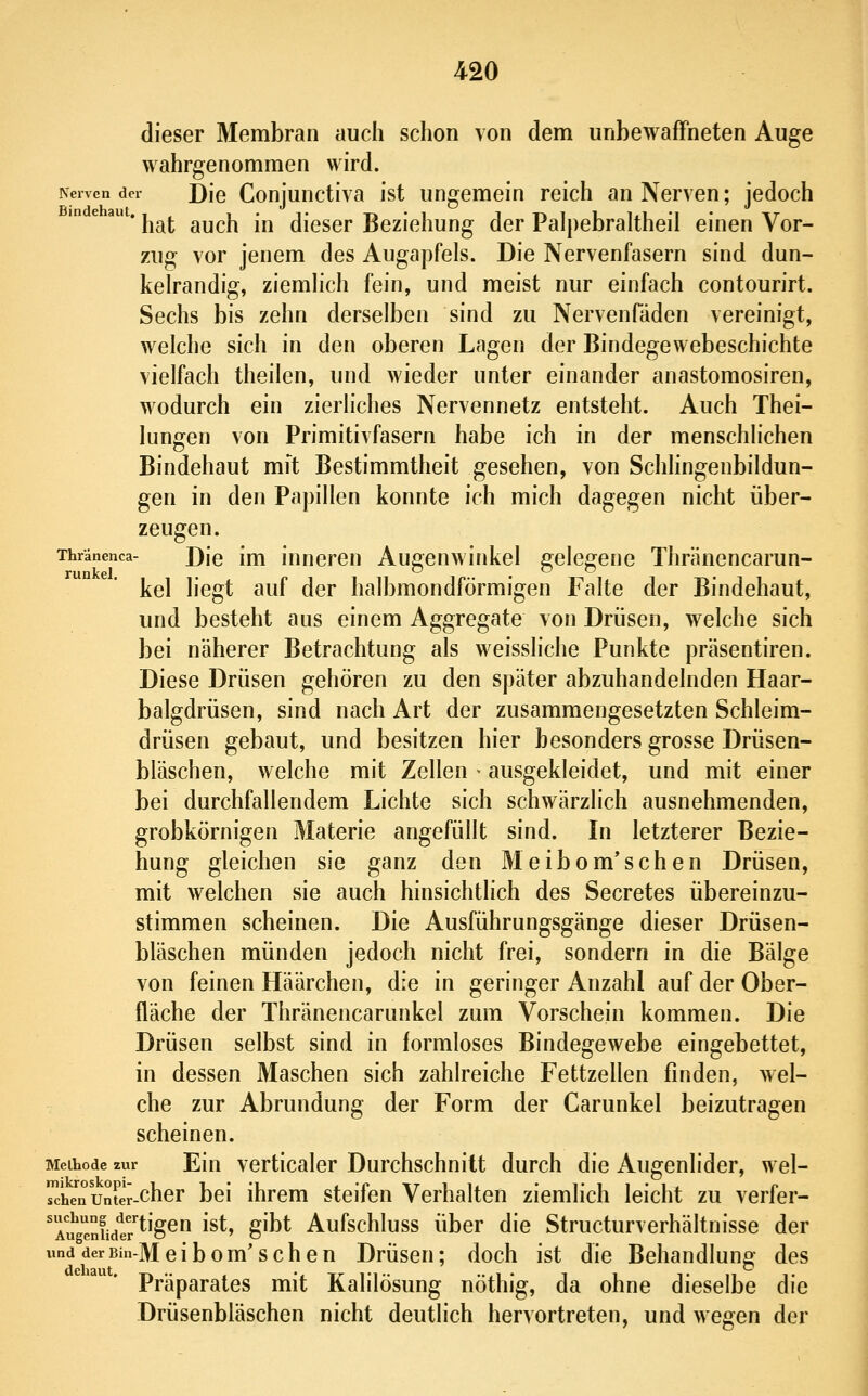 dieser Membran auch schon von dem unbewaffneten Auge wahrgenommen wird. Nervender ;5ie Conjuttctiva ist ungemein reich an Nerven; jedoch ' ^ ^ * hat auch in dieser Beziehung der Palpebraltheil einen Vor- zug vor jenem des Augapfels. Die Nervenfasern sind dun- kelrandig, ziemHch fein, und meist nur einfach contourirt. Sechs bis zehn derselben sind zu Nervenfäden vereinigt, welche sich in den oberen Lagen der Bindegewebeschichte vielfach theilen, und wieder unter einander anastomosiren, wodurch ein zierliches Nervennetz entsteht. Auch Thei- lungen von Primitivfasern habe ich in der menschlichen Bindehaut mft Bestimmtheit gesehen, von Schlingenbildun- gen in den Papillen konnte ich mich dagegen nicht über- zeugen. Thränenca- DJe im inneren Augenwinkel firele^rene Thränencarun- runkel . ~ kel liegt auf der halbmondförmigen Falte der Bindehaut, und besteht aus einem Aggregate von Drüsen, welche sich bei näherer Betrachtung als weissliche Punkte präsentiren. Diese Drüsen gehören zu den später abzuhandelnden Haar- balgdrüsen, sind nach Art der zusammengesetzten Schleim- drüsen gebaut, und besitzen hier besonders grosse Drüsen- bläschen, welche mit Zellen - ausgekleidet, und mit einer bei durchfallendem Lichte sich schwärzlich ausnehmenden, grobkörnigen Materie angefüllt sind. In letzterer Bezie- hung gleichen sie ganz den Meibomischen Drüsen, mit welchen sie auch hinsichtlich des Secretes übereinzu- stimmen scheinen. Die Ausführungsgänge dieser Drüsen- bläschen münden jedoch nicht frei, sondern in die Bälge von feinen Häärchen, die in geringer Anzahl auf der Ober- fläche der Thränencarunkel zum Vorschein kommen. Die Drüsen selbst sind in formloses Bindegewebe eingebettet, in dessen Maschen sich zahlreiche Fettzellen finden, wel- che zur Abrundung der Form der Carunkel beizutragen scheinen. Meihode zur Ein vorticalcr Durchschnitt durch die Augenlider, wel- Tche'i^unt'er-cher boi ihrem steifen Verhalten ziemlich leicht zu verfer- Tu^g^niidtr*''^^'^ ist, gibt Aufschluss über die Structurverhältnisse der undderBin-Meibom'sehen Drüsen; doch ist die Behandlung des Präparates mit Kalilösung nöthig, da ohne dieselbe die Drüsenbläschen nicht deutlich hervortreten, und wegen der