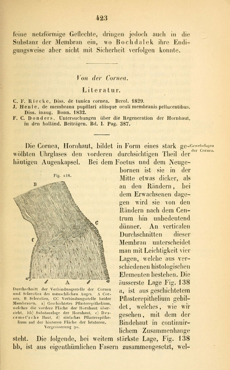 netzlörmif^e Ge[l(3clite, driiig(3U roino Substanz der aber jedocb auch in di(; ein, wo li o c h d a I e k ihn; Kiidi- uicht mit Sicherheit verfolgen konnte. Membran Von der Cornea. Literatur. C. ¥. Riecke, Diss. de lunica Cornea. Bcrol. 1829. J. Henle, de membrana pupillari aliisque oculi membranis pelluceiitibus. Diss. inaug. Bonn. 1832. F. C. Donders, Untersuchungen über die Regeneration der Hornhaut, in den holländ. Beiträgen. Bd. I. Pag. 387. Die Cornea, Hornhaut, bildet wölbten Uhrglases den vorderen häutigen Augenkapsel. Bei dem Fie. i38. Durchschnitt der Verbindungsstelle der Cornea und Scierotica des menschlichen Auges. A Cor- nea, B Scierotica, CC Verbindungsslelle beider Membranen, a) Geschichtetes Pflasterepithelium, welches die vordere Flache der Hornhaut über- zieht, ))b) Su])stanzlage der Hornhaut, c) Des- cemet'sehe Haut, d) einfaches Pflasterepithe- lium auf der hinteren Fläche der letzteren. Vergrösserung 90. steht. Die folgende, bei weitem bb, ist aus eigenthümlichen Faser in Form eines stark ^e-ocweheh^ca durchsichtigen Theil der Foetus und dem Neuge- bornen ist sie in der Mitte etwas dicker, als an den Rändern, bei dem Erwachsenen dage- gen wird sie von den Rändern nach dem Cen- trum hin unbedeutend dünner. An verticalen Durchschnitten dieser Membran unterscheidet man mit Leichtigkeit vier Lagen, welche aus ver- schiedenen histologischen Elementen bestehen. Die äusserste Lage Fig. 138 a, ist aus geschichtetem Pflasterepithelium gebil- det , welches, wie wir gesehen, mit dem der Bindehaut in continuir- hchem Zusammenhange stärkste Lage, Fig. 138 n zusammengesetzt, wel-