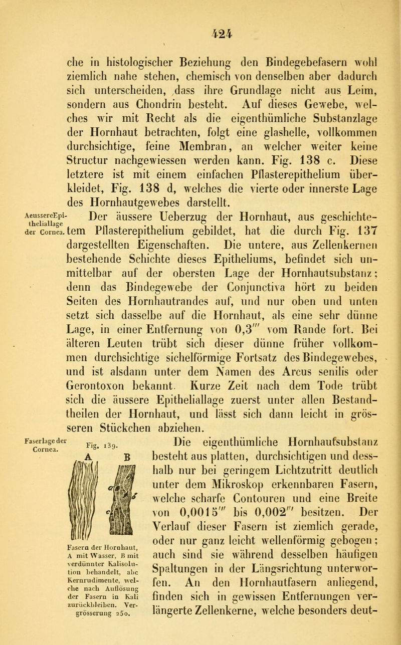 che in histologischer Beziehung den Bindegebefasern wohl ziemlich nahe stehen, chemisch von denselben aber dadurch sich unterscheiden, dass ihre Grundlage nicht aus Leim, sondern aus Chondrin besteht. Auf dieses Gewebe, wel- ches wir mit Recht als die eigenthümliche Substanzlage der Hornhaut betrachten, folgt eine glashelle, vollkommen durchsichtige, feine Membran, an welcher weiter keine Structur nachgewiessen werden kann. Fig. 138 c. Diese letztere ist mit einem einfachen Pflasterepithehum über- kleidet, Fig. 138 d, welches die vierte oder innerste Lage des Hornhautgewebes darstellt. AeussereEpi- Der äusscrc Ueberzug der Hornhaut, aus s^eschichte- theliallaee . . ^ . , ~ . der Cornea, tem Pflasterepithehum gebildet, hat die durch Fig. 137 dargestellten Eigenschaften. Die untere, aus Zellenkernen bestehende Schichte dieses Epitheliums, befindet sich un- mittelbar auf der obersten Lage der Hornhautsubstanz: denn das Bindegewebe der Conjunctiva hört zu beiden Seiten des Hornhautrandes auf, und nur oben und unten setzt sich dasselbe auf die Hornhaut, als eine sehr dünne Lage, in einer Entfernung von 0,3' vom Rande fort. Bei älteren Leuten trübt sich dieser dünne früher vollkom- men durchsichtige sichelförmige Fortsatz des BindegCAvebes, und ist alsdann unter dem Adamen des Arcus senilis oder Gerontoxon bekannt. Kurze Zeit nach dem Tode trübt sich die äussere Epitheliallage zuerst unter allen Bestand- theilen der Hornhaut, und lässt sich dann leicht in grös- seren Stückchen abziehen. Faseriageder Djg eigcnthümliche Hornhaufsubstanz Cornea. besteht aus platten, durchsichtigen und dess- halb nur bei geringem Lichtzutritt deutlich unter dem Mikroskop erkennbaren Fasern, welche scharfe Contouren und eine Breite von 0,0015' bis 0,002' besitzen. Der Verlauf dieser Fasern ist ziemlich gerade, oder nur ganz leicht wellenförmig £ebo2:en; Fasern der Hornhaut ^ 000 A mit Wasser, h mit auch siud sie während desselben häufigen tim?Lehandd!!'°abc Spaltungcu iu dcr Längsrichtung unterwor- Kernrudimente, wei- fgjj^ ^j^ ^q^^ Homhautfasem anlieofcnd, che nach Aimosung „ , . . . o ' der Fasern in Kali findcu sich iu oewisscu Entfcmungen ver- zuriickbleihen. Ver- -i- «ryni^ 111 i ^ t grösserung 25o. laugcrte Zellenkeme, welche besonders deut-