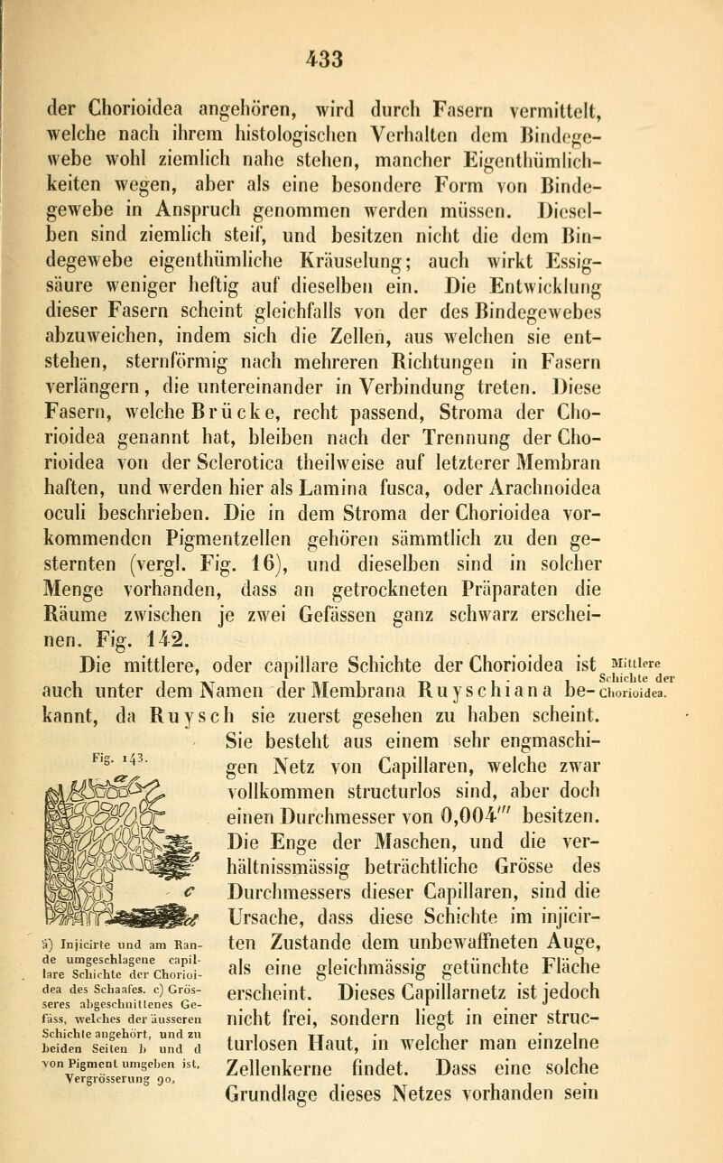 der Chorioidea angehören, wird durch Fasern vermittelt, welche nach ihrem histologischen Verhalten dem Bindege- webe wohl ziemlich nahe stehen, mancher Eigentliümlich- keiten wegen, aber als eine besondere Form von Binde- gewebe in Anspruch genommen werden müssen. Diesel- ben sind ziemlich steif, und besitzen nicht die dem Bin- degewebe eigenthümliche Kräuselung; auch wirkt Essig- säure weniger heftig auf dieselben ein. Die Entwicklung dieser Fasern scheint gleichfalls von der des Bindegewebes abzuweichen, indem sich die Zellen, aus welchen sie ent- stehen, sternförmig nach mehreren Richtungen in Fasern verlängern, die untereinander in Verbindung treten. Diese Fasern, welche Brüeke, recht passend, Stroma der Cho- rioidea genannt hat, bleiben nach der Trennung der Cho- rioidea von der Sclerotica theilweise auf letzterer Membran haften, und werden hier als Lamina fusca, oder Arachnoidea oculi beschrieben. Die in dem Stroma der Chorioidea vor- kommenden Pigmentzellen gehören sämmtlich zu den ge- sternten (vergl. Fig. 16), und dieselben sind in solcher Menge vorhanden, dass an getrockneten Präparaten die Räume zwischen je zwei Gefässen ganz schwarz erschei- nen. Fig. 142. Die mittlere, oder capillare Schichte der Chorioidea ist Mittiere auch unter dem Namen der Membrana Ruyschiana be-chorioidea. kannt, da Ruysch sie zuerst gesehen zu haben scheint. Sie besteht aus einem sehr engmaschi- gen Netz von Capillaren, welche zwar vollkommen structurlos sind, aber doch einen Durchmesser von 0,004' besitzen. Die Enge der Maschen, und die ver- hältnissmässig beträchtliche Grösse des Durchmessers dieser Capillaren, sind die Ursache, dass diese Schichte im injicir- ten Zustande dem unbewaffneten Auge, als eine gleichmässig getünchte Fläche erscheint. Dieses Capillarnetz ist jedoch nicht frei, sondern liegt in einer struc- turlosen Haut, in welcher man einzelne Zellenkerne findet. Dass eine solche Grundlage dieses Netzes vorhanden sein Injicirte und am Ran- de umgeschlagene capil- lare Schichte der Chorioi- dea des Schaafes. c) Grös- seres abgeschnittenes Ge- fäss, welches der äusseren Schichte angehört, und zu beiden Seiten h und d Yon Pigment umgeben ist, Vergrösserung 90,