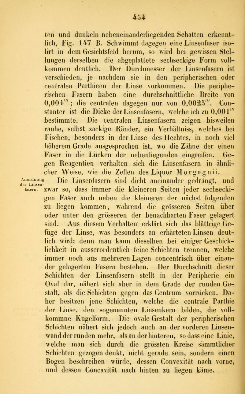 teil und dunkeln nebeneinanderliegenden Schatten erkennt- lich, Fig. 147 B. Schwimmt dagegen eine Linsenfaser iso- lirt in dem Gesichtsfeld herum, so wird bei gewissen Stel- lungen derselben die abgeplattete sechseckige Form voll- kommen deutlich. Der Durchmesser der Linsenfasern ist verschieden, je nachdem sie in den peripherischen oder centralen Parthieen der Linse vorkommen. Die periphe- rischen Fasern haben eine durchschnittliche Breite von 0,004'; die centralen dagegen nur von 0,0025'. Con- stanter ist die Dicke der Linsenfasern, welche ich zu 0,001' bestimmte. Die centralen Linsenfasern zeigen bisweilen rauhe, selbst zackige Ränder, ein Verhältniss, welches bei Fischen, besonders in der Linse des Hechtes, in noch viel höherem Grade ausgesprochen ist, wo die Zähne der einen Faser in die Lücken der nebenliegenden eingreifen. Ge- gen Reagentien verhalten sich die Linsenfasern in ähnli- cher Weise, w^ie die Zellen des Liquor Morgagnii. Anordnung j)jg Linscnfasem sind dicht aneinander ffedränojt, und der Linsen- . t i • • • i i i • fasern, zwar SO, dass immer die kleineren Seiten jeder sechsecki- gen Faser auch neben die kleineren der nächst folgenden zu hegen kommen, während die grösseren Seiten über oder unter den grösseren der benachbarten Faser gelagert sind. Aus diesem Verhalten' erklärt sich das blättrige Ge- füge der Linse, w^as besonders an erhärteten Linsen deut- lich wird; denn man kann dieselben bei einiger Geschick- lichkeit in ausserordentlich feine Schichten trennen, welche immer noch aus mehreren Lagen concentrisch über einan- der gelagerten Fasern bestehen. Der Durchschnitt dieser Schichten der Linsenfasern stellt in der Peripherie ein Oval dar, nähert sich aber in dem Grade der runden Ge- stalt, als die Schichten gegen das Centrum vorrücken. Da- her besitzen jene Schichten, welche die centrale Parthie der Linse, den sogenannten Linsenkern bilden, die voll- kommne Kugelform. Die ovale Gestalt der peripherischen Schichten nähert sich jedoch auch an der vorderen Linsen- wand der runden mehr, als an der hinteren, so dass eine Linie, welche man sich durch die grössten Kreise sämmtlicher Schichten gezogen denkt, nicht gerade sein, sondern einen Bogen beschreiben würde, dessen Convexität nach vorne, und dessen Concavität nach hinten zu liegen käme. i