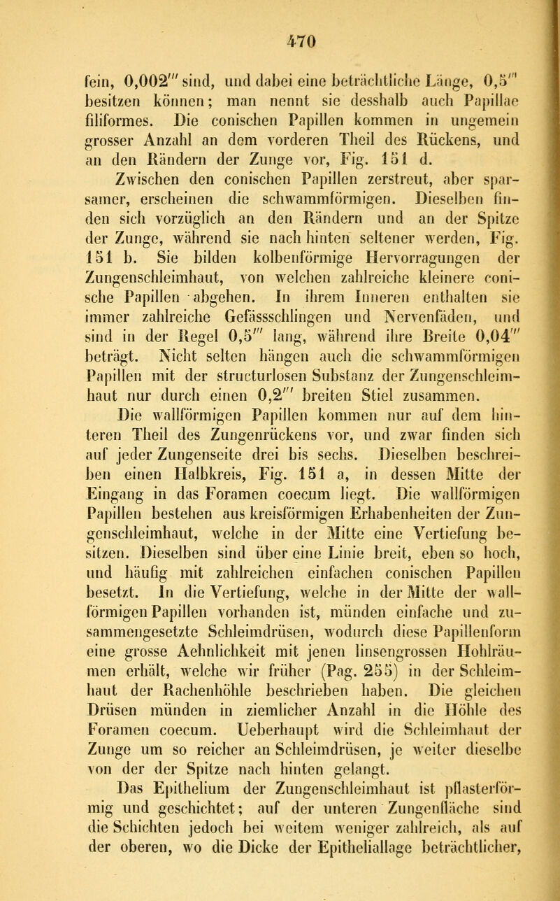 fein, 0,002' sind, und dabei eine beträchtliche Länge, 0,5' besitzen köinien; man nennt sie desshalb auch Papulae filiformes. Die conischen Papillen kommen in ungemein grosser Anzahl an dem vorderen Theil des Rückens, und an den Rändern der Zunge vor, Fig. 151 d. Zwischen den conischen Papillen zerstreut, aber spar- samer, erscheinen die schwammförmigen. Dieselben fin- den sich vorzüglich an den Rändern und an der Spitze der Zunge, während sie nach hinten seltener werden, Fig. 151 b. Sie bilden kolbenförmige Hervorragungen der Zungenschleimhaut, von welchen zahlreiche kleinere coni- sche Papillen abgehen. In ihrem Inneren enthalten sie immer zahlreiche Gefässschlingen und Nervenfäden, und sind in der Regel 0,5' lang, während ihre Breite 0,04' beträgt. Nicht selten hängen auch die schwammförmigen Papillen mit der structurlosen Substanz der Zungenschleim- haut nur durch einen 0,2' breiten Stiel zusammen. Die wallförmigen Papillen kommen nur auf dem hin- teren Theil des Zungenrückens vor, und zwar finden sich auf jeder Zungenseite drei bis sechs. Dieselben beschrei- ben einen Halbkreis, Fig. 151 a, in dessen Mitte der Eingang in das Foramen coecjnm liegt. Die wallförmigen Papillen bestehen aus kreisförmigen Erhabenheiten der Zun- genschleimhaut, welche in der Mitte eine Vertiefung be- sitzen. Dieselben sind über eine Linie breit, eben so hoch, und häufig mit zahlreichen einfachen conischen Papillen besetzt. In die Vertiefung, welche in der Mitte der w all- förmigen Papillen vorhanden ist, münden einfache und zu- sammengesetzte Schleimdrüsen, wodurch diese Papillenform eine grosse Aehnlichkeit mit jenen linsengrossen Hohlräu- men erhält, welche wir früher (Pag. 255) in der Schleim- haut der Rachenhöhle beschrieben haben. Die gleichen Drüsen münden in ziemlicher Anzahl in die Höhle des Foramen coecum. Ueberhaupt wird die Schleimhaut der Zunge um so reicher an Schleimdrüsen, je weiter dieselbe von der der Spitze nach hinten gelangt. Das Epithelium der Zungenschleimhaut ist pflasterför- mig und geschichtet; auf der miteren Zungenfläche sind die Schichten jedoch bei weitem weniger zahlreich, als auf der oberen, wo die Dicke der Epitheliallage beträchtlicher,