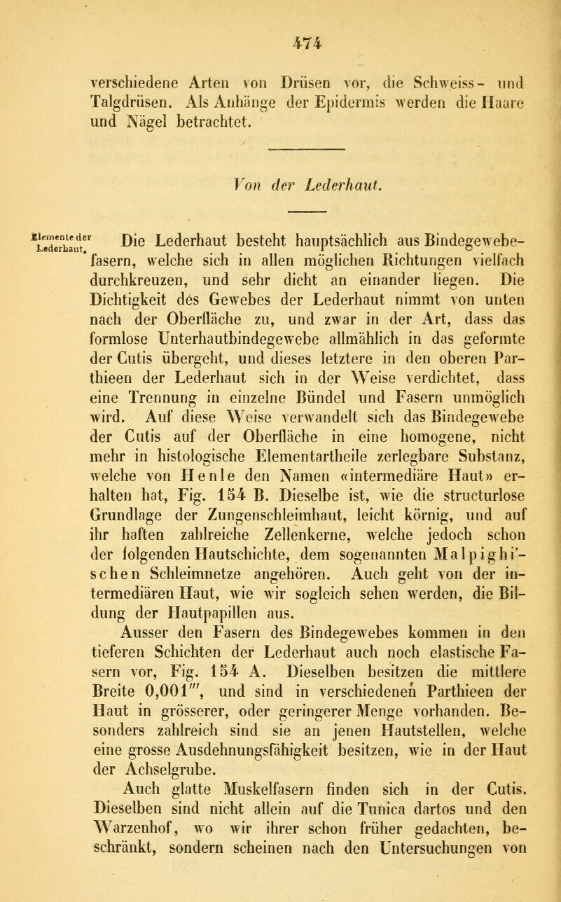 verschiedene Arten von Drüsen vor, die Schweiss- und Talgdrüsen. Als Anhänge der Epidermis werden die Haare und Nägel betrachtet. Von der Lederhaut. ^Lederbaifr ^^^ Lcderhaut besteht hauptsächlich aus Bindegewebe- 'fasern, welche sich in allen möglichen Richtungen vielfach durchkreuzen, und sehr dicht an einander hegen. Die Dichtigkeit des Gewebes der Lederhaut nimmt von unten nach der Oberfläche zu, und zwar in der Art, dass das formlose Unterhautbindegewebe allmählich in das geformte der Cutis übergeht, und dieses letztere in den oberen Par- thieen der Lederhaut sich in der Weise verdichtet, dass eine Trennung in einzelne Bündel und Fasern unmöglich wird. Auf diese Weise verwandelt sich das Bindegewebe der Cutis auf der Oberfläche in eine homogene, nicht mehr in histologische Elementartheile zerlegbare Substanz, welche von He nie den Namen «intermediäre Haut» er- halten hat, Fig. 154 B. Dieselbe ist, wie die structurlose Grundlage der Zungenschleimhaut, leicht körnig, und auf ihr haften zahlreiche Zellenkerne, welche jedoch schon der folgenden Hautschichte, dem sogenannten M a 1 p i g h i- sehen Schleimnetze angehören. Auch geht von der in- termediären Haut, wie wir sogleich sehen werden, die Bil- dung der Hautpapilleu aus. Ausser den Fasern des Bindegewebes kommen in den tieferen Schichten der Lederhaut auch noch elastische Fa- sern vor, Fig. 154 A. Dieselben besitzen die mittlere Breite 0,001', und sind in verschiedenen Parthieen der Haut in grösserer, oder geringerer Menge vorhanden. Be- sonders zahlreich sind sie an jenen Hautstellen, welche eine grosse Ausdehnungsfähigkeit besitzen, wie in der Haut der Achselgrube. Auch glatte Muskelfasern finden sich in der Cutis. Dieselben sind nicht allein auf die Tunica dartos und den Warzenhof, wo wir ihrer schon früher gedachten, be- schränkt, sondern scheinen nach den Untersuchungen von