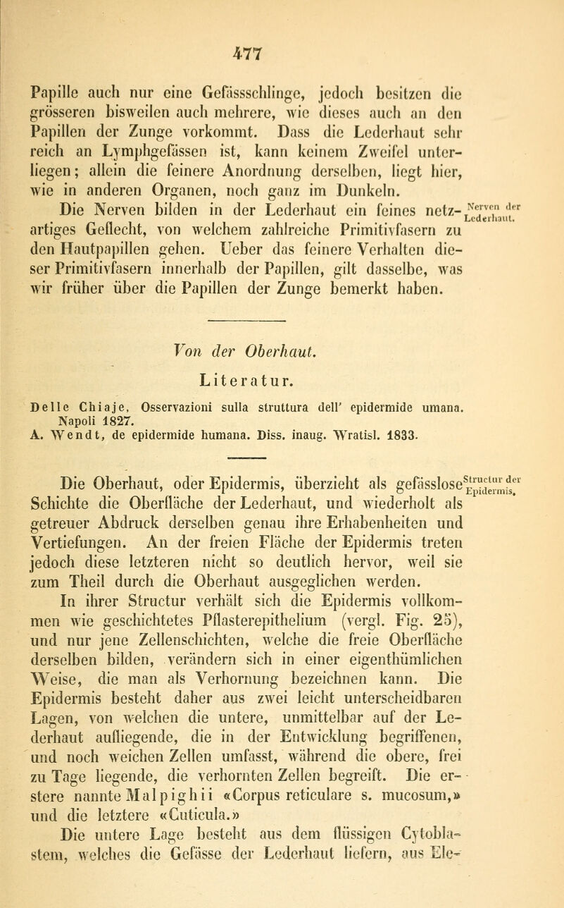 Papille auch nur eine Gefässschlingc, jedoch besitzen die grösseren bisweilen auch mehrere, wie dieses auch an den Papillen der Zunge vorkommt. Dass die Lederhaut sehr reich an Lymphgefassen ist, kann keinem Zweifel unter- hegen; allein die feinere Anordnung derselben, liegt hier, wie in anderen Organen, noch ganz im Dunkeln. Die Nerven bilden in der Lederhaut ein feines netz-.^'^j; 'l'^ artiges Geflecht, von welchem zahlreiche Primitivfasern zu den Hautpapillen gehen. Ueber das feinere Verhalten die- ser Primitivfasern innerhalb der Papillen, gilt dasselbe, was wir früher über die Papillen der Zunge bemerkt haben. Voti der Oberhaut. Literatur. Delle Chiaje, Osservazioni sulla stmttura dell' epideimide umana. Napoli 1827. A. Wendt, de epidermide humana. Diss. inaug. Wratisl. 1833. Die Oberhaut, oder Epidermis, überzieht als gelassIose^^'^^^'^f/^' Schichte die Oberfläche der Lederhaut, und wiederholt als getreuer Abdruck derselben genau ihre Erhabenheiten und Vertiefungen. An der freien Fläche der Epidermis treten jedoch diese letzteren nicht so deutlich hervor, weil sie zum Theil durch die Oberhaut ausgeghchen werden. In ihrer Structur verhält sich die Epidermis vollkom- men wie geschichtetes Pflasterepithelium (vergl. Fig. 25), und nur jene Zellenschichten, welche die freie Oberfläche derselben bilden, verändern sich in einer eigenthümlichen Weise, die man als Verhornung bezeichnen kann. Die Epidermis besteht daher aus zwei leicht unterscheidbaren Lagen, von welchen die untere, unmittelbar auf der Le- clerhaut aufliegende, die in der Entwicklung begriffenen, und noch weichen Zellen umfasst, während die obere, frei zu Tage liegende, die verhornten Zellen begreift. Die er- stere nannte M a 1 p i g h i i «Corpus reticulare s. mucosum,» und die letztere «Guticula.» Die untere Lage besteht aus dem flüssigen Cytobla- stem, welches die Gefässe der Lederhaut liefern, aus Ele-