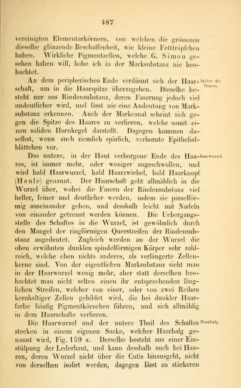 vereinigten Elementarkörnern, von wcIcIkmi die grösseren dieselbe glänzende BescliaHenlieil, wie kleine FeUlniprcInMi haben. Wirkliche Pigmentzellen, welche G. Simon g(;- sehen haben will, habe ich in der Marksnbstanz nie beo- bachtet. An dem peripherischen Ende verdünnt sich der Ilaar-'^i'«««'^ Schaft, um in die Haarspitze überzugehen. Dieselbe be- steht nur aus Rindensubstanz, deren Faserung jedoch viel undeutlicher wird, und liisst nie eine Andeuturjg von Mark- substanz erkennen. Auch der Markcanal scheint sich ge- gen die Spitze des Haares zu verlieren, welche somit ei- nen sohden Hornkegel darstellt. Dagegen kommen da- selbst, wenn auch ziemlich spärlich, verhornte Epithelial- blättchen vor. Das untere, in der Haut verborgene Ende des Haa-naa'^i'r«i. res, ist immer mehr, oder w^eniger angeschwollen, und wird bald Haarwurzel, bald Haarzwiebel, bald Haarknopl' (Henie) genannt. Der Haarschaft geht allmählich in die Wurzel über, wobei die Fasern der Rindensubstanz viel heller, feiner und deutlicher werden, mdem sie pinselför- mig auseinander gehen, und desshalb leicht mit Nadeln von einander getrennt werden können. Die Uebergangs- stelle des Schaftes in die Wurzel, ist gewöhnlich durch den Mangel der ringförmigen Querstreifen der Rindensub- stanz angedeutet. Zugleich werden an der Wurzel die oben erwähnten dunklen spindelförmigen Körper sehr zahl- reich, welche eben nichts anderes, als verlängerte Zellen- kerne sind. Von der eigentlichen Marksubstanz sieht man in der Haarwurzel wenig mehr, aber statt derselben beo- bachtet man nicht selten einen ihr entsprechenden läng- lichen Streifen, welcher von einer, oder von zwei Reihen kernhaltiger Zellen gebildet wird, die bei dunkler Haar- farbe häufig Pigmentkörnchen führen, und sich allmählig in dem Haarschafte verlieren. Die Haarwurzel und der untere Theil des Schaftes ^^^^'s- stecken in einem eigenen Sacke, welcher Haarbalg ge- nannt wird, Fig. 159 a. Derselbe besteht aus einer Ein- stülpung der Lederhaut, und kann desshalb auch bei Haa- ren, deren Wurzel nicht über die Cutis hinausgeht, nicht von derselben isolirt werden, dagegen lässt an stärkeren