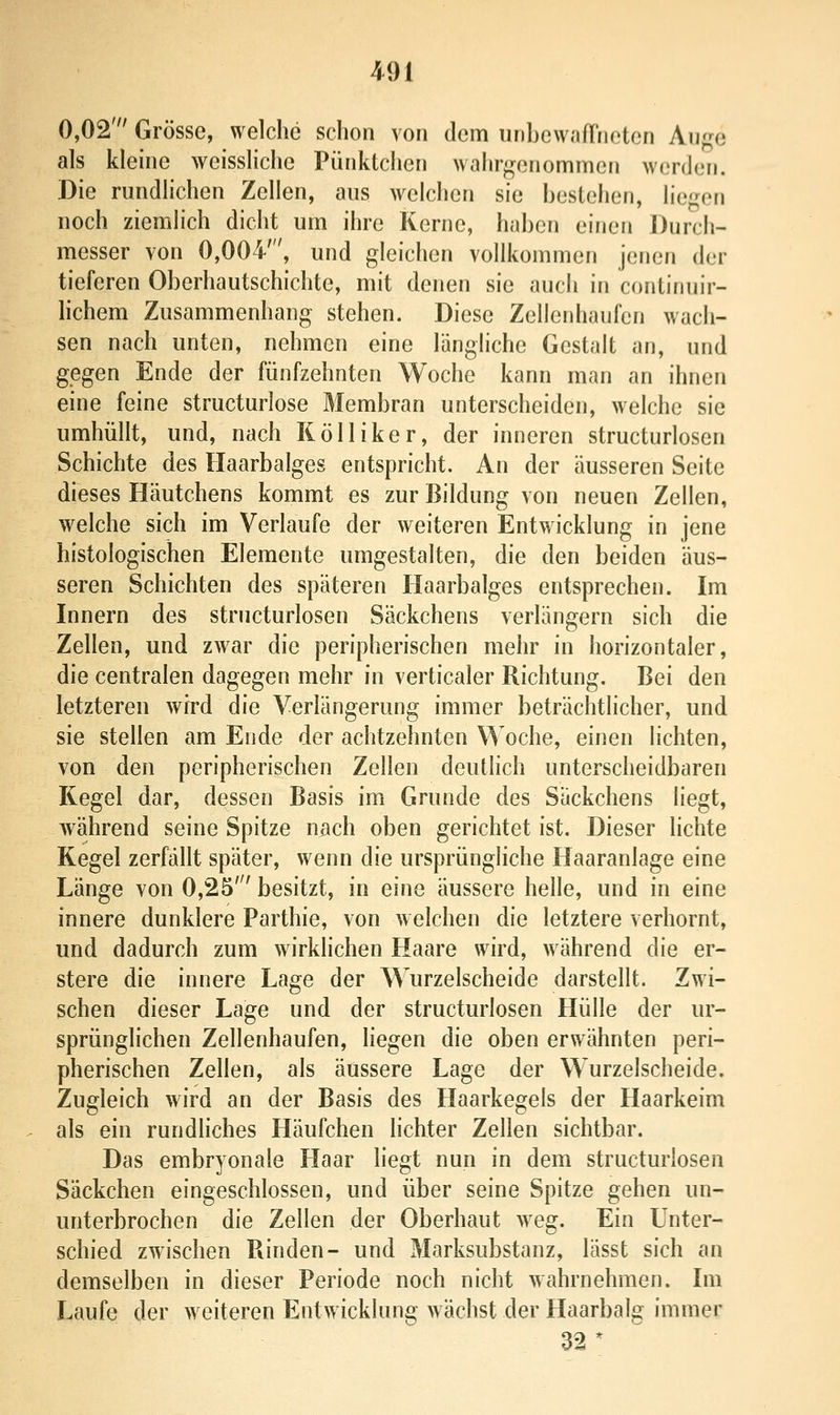 0,02' Grösse, welche schon von dem iinhcwaflneton Au^^e als kleine weissHche Pünktchen wahrgenommen wonJen. Die rundhchen Zellen, ans welchen sie hestehen, liegen noch ziemlich dicht um ihre Kerne, hahen einen Durch- messer von 0,004', und gleichen vollkommen jenen der tieferen Oberhautschichte, mit denen sie auch in continuir- hchem Zusammenhang stehen. Diese Zellenhaufen wach- sen nach unten, nehmen eine längliche Gestalt an, und gegen Ende der fünfzehnten Woche kann man an ihnen eine feine structurlose Membran unterscheiden, welche sie umhüllt, und, nach Kölliker, der inneren structurlosen Schichte des Haarbalges entspricht. An der äusseren Seite dieses Häutchens kommt es zur Bildung von neuen Zellen, welche sich im Verlaufe der weiteren Entwicklung in jene histologischen Elemente umgestalten, die den beiden äus- seren Schichten des späteren Haarbalges entsprechen. Im Innern des structurlosen Säckchens verlängern sich die Zellen, und zwar die peripherischen mehr in horizontaler, die centralen dagegen mehr in verticaler Richtung. Bei den letzteren wird die Verlängerung immer beträchtlicher, und sie stellen am Ende der achtzehnten Woche, einen lichten, von den peripherischen Zellen deutlich unterscheidbaren Kegel dar, dessen Basis im Grunde des Säckchens liegt, während seine Spitze nach oben gerichtet ist. Dieser lichte Kegel zerfällt später, wenn die ursprüngliche Haaranlage eine Länge von 0,25' besitzt, in eine äussere helle, und in eine innere dunklere Parthie, von welchen die letztere verhornt, und dadurch zum wirklichen Haare wird, während die er- stere die innere Lage der Wurzelscheide darstellt. Zwi- schen dieser Lage und der structurlosen Hülle der ur- sprünglichen Zellenhaufen, hegen die oben erwähnten peri- pherischen Zellen, als äussere Lage der Wurzelscheide. Zugleich wird an der Basis des Haarkegels der Haarkeim als ein rundliches Häufchen lichter Zellen sichtbar. Das embryonale Haar liegt nun in dem structurlosen Säckchen eingeschlossen, und über seine Spitze gehen un- unterbrochen die Zellen der Oberhaut weg. Ein Unter- schied zwischen Rinden- und Marksubstanz, lässt sich an demselben in dieser Periode noch nicht wahrnehmen. Im Laufe der w eiteren Entwicklung wächst der Haarbalg immer 32*
