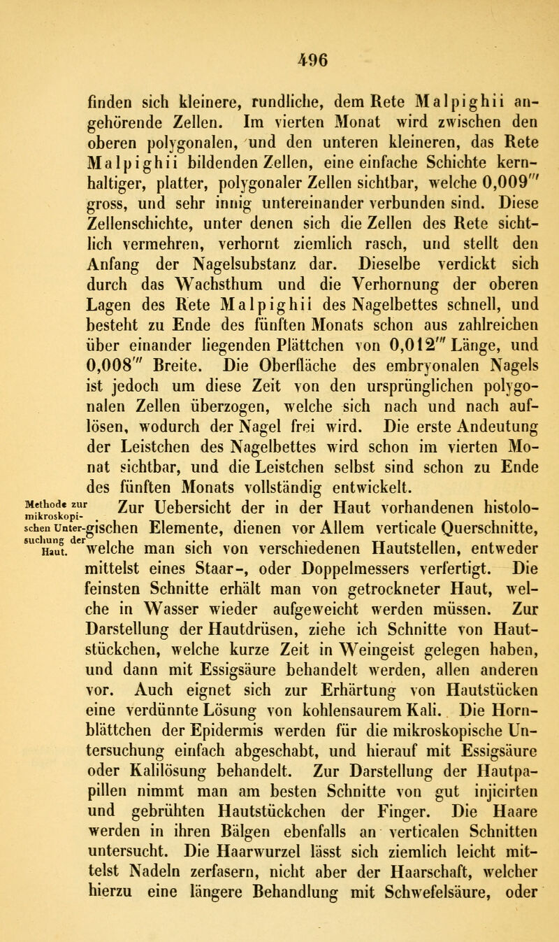 finden sich kleinere, rundliche, dem Rete Malpighii an- gehörende Zellen. Im vierten Monat wird zwischen den oberen polygonalen, und den unteren kleineren, das Rete Malpighii bildenden Zellen, eine einfache Schichte kern- haltiger, platter, polygonaler Zellen sichtbar, welche 0,009' gross, und sehr innig untereinander verbunden sind. Diese Zellenschichte, unter denen sich die Zellen des Rete sicht- lich vermehren, verhornt ziemlich rasch, und stellt den Anfang der Nagelsubstanz dar. Dieselbe verdickt sich durch das Wachsthum und die Verhornung der oberen Lagen des Rete Malpighii des Nagelbettes schnell, und besteht zu Ende des fünften Monats schon aus zahlreichen über einander liegenden Plättchen von 0,012' Länge, und 0,008' Breite. Die Oberfläche des embryonalen Nagels ist jedoch um diese Zeit von den ursprünglichen polygo- nalen Zellen überzogen, welche sich nach und nach auf- lösen, wodurch der Nagel frei wird. Die erste Andeutung der Leistchen des Nagelbettes wird schon im vierten Mo- nat sichtbar, und die Leistchen selbst sind schon zu Ende des fünften Monats vollständig entwickelt. Methode zur ^ur Ucbersicht der in der Haut vorhandenen histolo- mikroskopi- schen unter-gischen Elemente, dienen vor Allem verticale Querschnitte, ''^Haul welche man sich von verschiedenen Hautstellen, entweder mittelst eines Staar-, oder Doppelraessers verfertigt. Die feinsten Schnitte erhält man von getrockneter Haut, wel- che in Wasser wieder aufgeweicht werden müssen. Zur Darstellung der Hautdrüsen, ziehe ich Schnitte von Haut- stückchen, welche kurze Zeit in Weingeist gelegen haben, und dann mit Essigsäure behandelt werden, allen anderen vor. Auch eignet sich zur Erhärtung von Hautstücken eine verdünnte Lösung von kohlensaurem Kah. Die Horn- blättchen der Epidermis werden für die mikroskopische Un- tersuchung einfach abgeschabt, und hierauf mit Essigsäure oder Kahlösung behandelt. Zur Darstellung der Hautpa- pillen nimmt man am besten Schnitte von gut injicirten und gebrühten Hautstückchen der Finger. Die Haare werden in ihren Bälgen ebenfalls an verticalen Schnitten untersucht. Die Haarwurzel lässt sich ziemlich leicht mit- telst Nadeln zerfasern, nicht aber der Haarschaft, welcher hierzu eine längere Behandlung mit Schwefelsäure, oder
