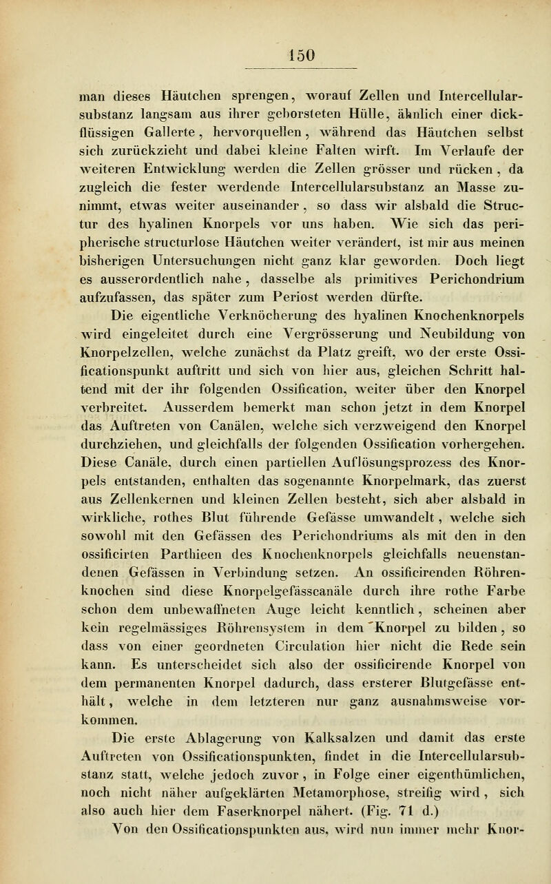 man dieses Häutchen sprengen, worauf Zellen und Intercellular- substanz langsam aus ihrer geborsteten Hülle, ähnlich einer dick- flüssigen Gallerte, hervorquellen, während das Häutchen selbst sich zurückzieht und dabei kleine Falten wirft. Im Verlaufe der weiteren Entwicklung werden die Zellen grösser und rücken , da zugleich die fester werdende Intercellularsubstanz an Masse zu- nimmt, etwas weiter auseinander , so dass wir alsbald die Struc- tur des hyalinen Knorpels vor uns haben. Wie sich das peri- pherische structurlose Häutchen weiter verändert, ist mir aus meinen bisherigen Untersuchungen nicht ganz klar geworden. Doch liegt es ausserordentlich nahe, dasselbe als primitives Perichondrium aufzufassen, das später zum Periost werden dürfte. Die eigentliche Verknöcherung des hyalinen Knochenknorpels - wird eingeleitet durch eine Vergrösserung und Neubildung von Knorpelzellen, welche zunächst da Platz greift, wo der erste Ossi- ficationspunkt auftritt und sich von hier aus, gleichen Schritt hal- tend mit der ihr folgenden Ossification, weiter über den Knorpel verbreitet. Ausserdem bemerkt man schon jetzt in dem Knorpel das Auftreten von Canälen, welche sich verzweigend den Knorpel durchziehen, und gleichfalls der folgenden Ossification vorhergehen. Diese Canäle, durch einen partiellen Auflösungsprozess des Knor- pels entstanden, enthalten das sogenannte Knorpelmark, das zuerst aus Zellenkernen und kleinen Zellen besteht, sich aber alsbald in wirkliche, rothes Blut führende Gefässe umwandelt, welche sich sowohl mit den Gefässen des Perichondriums als mit den in den ossificlrten Parthieen des Knochenknorpels gleichfalls neuenstan- denen Gefässen in Verbindung setzen. An ossificirenden Röhren- knochen sind diese Knorpelgefässcanäle durch ihre rothe Farbe schon dem unbewaffneten Auge leicht kenntlich, scheinen aber kein regelmässiges ßöhrensystem in dem 'Knorpel zu bilden, so dass von einer geordneten Circulation hier nicht die Rede sein kann. Es unterscheidet sich also der ossificirende Knorpel von dem permanenten Knorpel dadurch, dass ersterer Blutgefässe ent- hält , welche in dem letzteren nur ganz ausnahmsweise vor- kommen. Die erste Ablaoreruns: von Kalksalzen und damit das erste Auftreten von Ossificationspunkten, findet in die Intercellularsub- stanz statt, welche jedoch zuvor, in Folge einer eigenthümlichen, noch nicht näher aufgeklärten Metamorphose, streifig wird , sich also auch hier dem Faserknorpel nähert. (Fig. 71 d.) Von den Ossificatiojispunkten aus, wird nun immer mehr Knor-