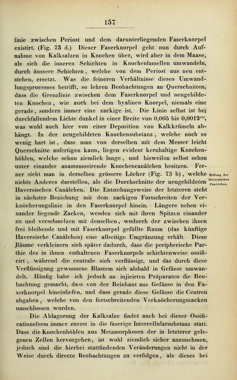 linie zwischen Periost und dem darunterliegenden Faserknorpel existirt (Fig. 73 d.) Dieser Faserknorpel geht nun durch Auf- nahme von Kalksalzen in Knochen über, wird aber in dem Maase, als sich die inneren Schichten in Knochenlamellen umwandeln, durch äussere Schichten, welche von dem Periost aus neu ent- stehen, ersetzt. Was die feineren Verhältnisse dieses Umwand- lungsprocesses betrifft, so lehren Beobachtungen an Querschnitten, dass die Grenzlinie zwischen dem Faserknorpel und neugebilde- ten Knochen, wie auch bei dem hyalinen Knorpel, niemals eine gerade, sondern immer eine zackige ist. Die Linie selbst ist bei durchfallendem Lichte dunkel in einer Breite von 0,005 bis 0,0012', was wohl auch hier von einer Deposition von Kalkkrümeln ab- hängt. In der neugebildeten Knochensubstanz, welche noch so wenig hart ist, dass man von derselben mit dem Messer leicht Querschnitte anfertigen kann, liegen evident kernhaltige Knochen- höhlen, welche schon ziemlich lange , und bisweilen selbst schon unter einander anastomosirende Knochencanälchen besitzen. Fer- ner sieht man in derselben grössere Löcher (Fig. 73 b), welche Bildung der nichts Anderes darstellen, als die Durchschnitte der neugebildeten cYn^iXen Haversischen Canälchen. Die Entstehungsweise der letzteren steht in nächster Beziehung mit dem zackigen Fortschreiten der Ver- knöcherungslinie in den Faserknorpel hinein. Längere neben ei- nander liegende Zacken, wenden sich mit ihren Spitzen einander zu und verschmelzen mit denselben, wodurch der zwischen ihnen frei bleibende und mit Faserknorpel gefüllte Raum (das künftige Haversische Canälchen) eine allseitige Umgränzung erhält. Diese jRäume verkleinern sich später dadurch, dass die peripherische Par- thie des in ihnen enthaltenen Faserknorpels schichtenweise ossifi- cirt , während die centrale sich verflüssigt, und das durch diese Verflüssigung gewonnene Blastem sich alsbald in Gefässe umwan- delt. Häufig habe ich jedoch an injicirten Präparaten die Beo- bachtung gemacht, dass von der Beinhaut aus Gefässe in den Fa- serknorpel hineinliefen, und dass gerade diese Gefässe die Centren abgaben , welche von den fortschreitenden Verknöcherungszacken umschlossen wurden. Die Ablagerung der Kalksalze findet auch bei dieser Ossifi- cationsform immer zuerst in die faserige Intercellularsubstanz statt. Dass die Knochenhöblen aus Metamorphosen der in letzterer gele- genen Zellen hervorgehen, ist wohl ziemlich sicher anzunehmen, jedoch sind die hierbei stattfindenden Veränderungen nicht in der Weise durch directe Beobachtungen zu verfolgen, als dieses bei