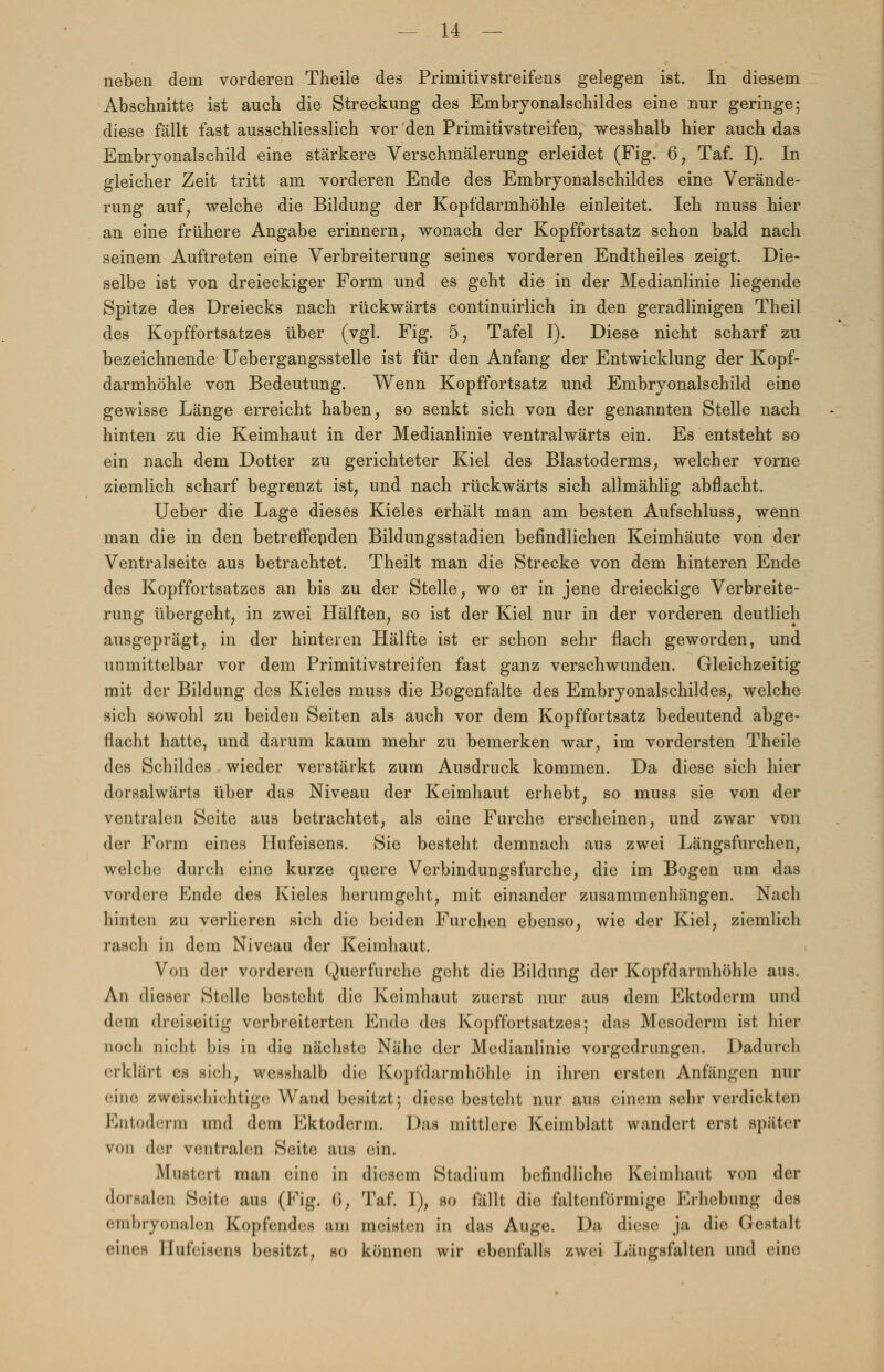 neben dem vorderen Theile des Primitivstreifens gelegen ist. In diesem Abschnitte ist auch die Streckung des Embryonalschildes eine nur geringe; diese fällt fast ausschliesslich vor den Primitivstreifen, wesshalb hier auch das Embryonalschild eine stärkere Verschmälerung erleidet (Fig. 6, Taf. I). In gleicher Zeit tritt am vorderen Ende des Embryonalschildes eine Verände- rung auf, welche die Bildung der Kopfdarmhöhle einleitet. Ich muss hier an eine frühere Angabe erinnern, wonach der Kopffortsatz schon bald nach seinem Auftreten eine Verbreiterung seines vorderen Endtheiles zeigt. Die- selbe ist von dreieckiger Form und es geht die in der Medianlinie liegende Spitze des Dreiecks nach rückwärts continuirlich in den geradlinigen Theil des Kopffortsatzes über (vgl. Fig. 5, Tafel I). Diese nicht scharf zu bezeichnende Uebergangsstelle ist für den Anfang der Entwicklung der Kopf- darmhöhle von Bedeutung. Wenn Kopffortsatz und Embryonalschild eine gewisse Länge erreicht haben, so senkt sich von der genannten Stelle nach hinten zu die Keimhaut in der Medianlinie ventralwärts ein. Es entsteht so ein nach dem Dotter zu gerichteter Kiel des Blastoderms, welcher vorne ziemlich scharf begrenzt ist, und nach rückwärts sich allmählig abflacht. Ueber die Lage dieses Kieles erhält man am besten Aufschluss, wenn man die in den betreffepden Bildungsstadien befindlichen Keimhäute von der Ventralseite aus betrachtet. Theilt man die Strecke von dem hinteren Ende des Kopffortsatzes an bis zu der Stelle, wo er in jene dreieckige Verbreite- rung übergeht, in zwei Hälften, so ist der Kiel nur in der vorderen deutlich ausgeprägt, in der hinteren Hälfte ist er schon sehr flach geworden, und unmittelbar vor dem Primitivstreifen fast ganz verschwunden. Gleichzeitig mit der Bildung des Kieles muss die Bogenfalte des Embryonalschildes, welche sich sowohl zu beiden Seiten als auch vor dem Kopffortsatz bedeutend abge- flacht hatte, und darum kaum mehr zu bemerken war, im vordersten Theile des Schildes wieder verstärkt zum Ausdruck kommen. Da diese sich hier dorsalwärts über das Niveau der Keimhaut erhebt, so muss sie von der ventralen Seite aus betrachtet, als eine Furche erscheinen, und zwar von der Form eines Hufeisens. Sie besteht demnach aus zwei Längsfurchen, welche durch eine kurze quere Verbindungsfurche, die im Bogen um das vordere Ende des Kieles herumgeht, mit einander zusammenhängen. Nach hinten zu verlieren sich die beiden Furchen ebenso, wie der Kiel, ziemlich rasch in dem Niveau der Keimhaut. Von der vorderen Querfurche geht die Bildung der Kopfdarmhöhle aus. An dieser Stelle besteht die Keimhaut zuerst nur aus dein Ektoderm und dem dreiseitig verbreiterten Ende des Kopffortsatzes; das Mcsoderm ist hier noch nicht bis in die nächste Nähe der Medianlinie vorgedrungen. Dadurch erklärt es sich, wesshalb die; Kopfdarmhöhle in ihren ersten Anfängen nur eine zweischichtige Wand besitzt; diese besteht nur aus einem sehr verdickten Entoderm und dem Ektoderm. Das mittlere Keimblatt wandert erst später von der ventralen Seite aus ein. Mustert man eine in diesem Stadium befindliche Keimhaut von der dorsalen Seite aus (Fig. (i, Taf. I), so fällt die faltenförmige Erhebung des embryonalen Kopfendes am meisten in das Auge. Da diese ja die Gestalt eines Hufeisens besitzt, so können wir ebenfalls zwei Längsfalten und eine