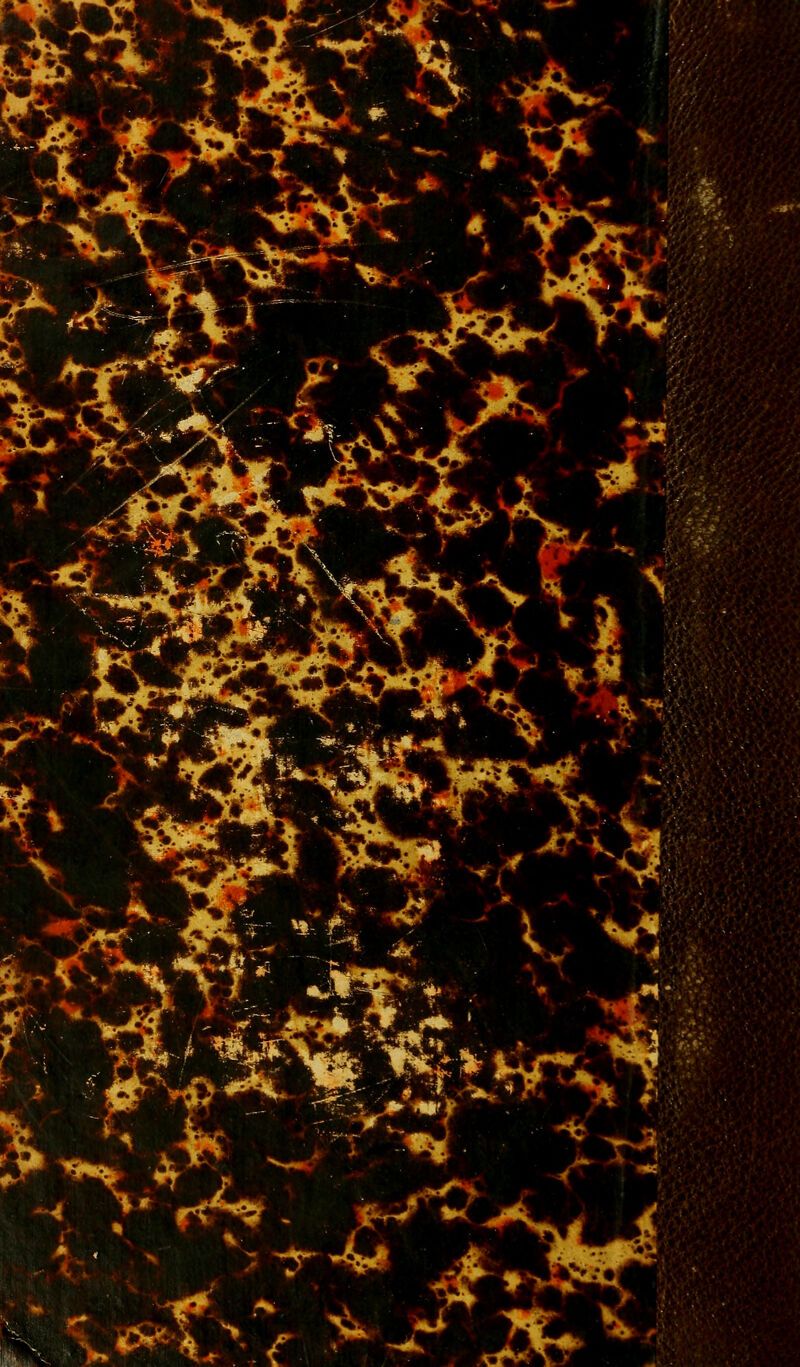 [ *3f*W iScÇ W^J *#*W ¥i r •.*■•■,-- *} >C3 4 :* r&Z - fcrtrà »*^^-Y