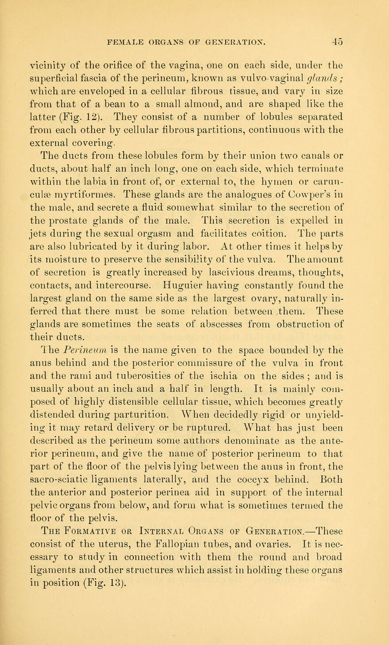 vicinity of the orifice of the vagina, one on each side, under the superficial fascia of the perineum, known as vulvo-vaginal glands ; which are enveloped in a cellular fibrous tissue, and vary in size from that of a bean to a small almond, and are shaped like the latter (Fig. 12). They consist of a number of lobules separated from each other by cellular fibrous partitions, continuous with the external covering. The ducts from these lobules form by their union two canals or ducts, about half an inch long, one on each side, which terminate within the labia in front of, or external to, the hymen or carun- culee myrtiformes. These glands are the analogues of Cowper's in the male, and secrete a fluid somewhat similar to the secretion of the prostate glands of the male. This secretion is expelled in jets during the sexual orgasm and facilitates coition. The parts are also lubricated by it during labor. At other times it helps by its moisture to preserve the sensibility of the vulva. The amount of secretion is greatly increased by lascivious dreams, thoughts, contacts, and intercourse. Huguier having constantly found the largest gland on the same side as the largest ovary, naturally in- ferred that there must be some relation between them. These glands are sometimes the seats of abscesses from obstruction of their ducts. The Perineum is the name given to the space bounded by the anus behind and the posterior commissure of the vulva in front and the rami and tuberosities of the ischia on the sides ; and is usually about an inch and a half in length. It is mainly com- posed of highly distensible cellular tissue, which becomes greatly distended during parturition. When decidedly rigid or unyield- ing it may retard delivery or be ruptured. What has just been described as the perineum some authors denominate as the ante- rior perineum, and give the name of posterior perineum to that part of the floor of the pelvis lying between the anus in front, the sacro-sciatic ligaments laterally, and the coccyx behind. Both the anterior and posterior perinea aid in support of the internal pelvic organs from below, and form what is sometimes termed the floor of the pelvis. The Formative or Internal Organs of Generation.—These consist of the uterus, the Fallopian tubes, and ovaries. It is nec- essary to study in connection with them the round and broad ligaments and other structures which assist in holding these organs in position (Fig. 13).