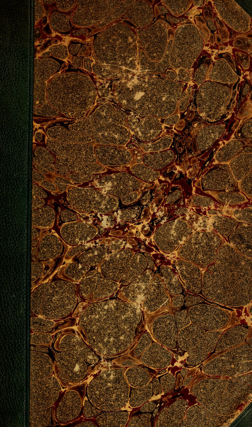 ■m- ■f'%.^Q:.» , •''■•y':y€ &■ ^j^ ^Ç8L». ?1