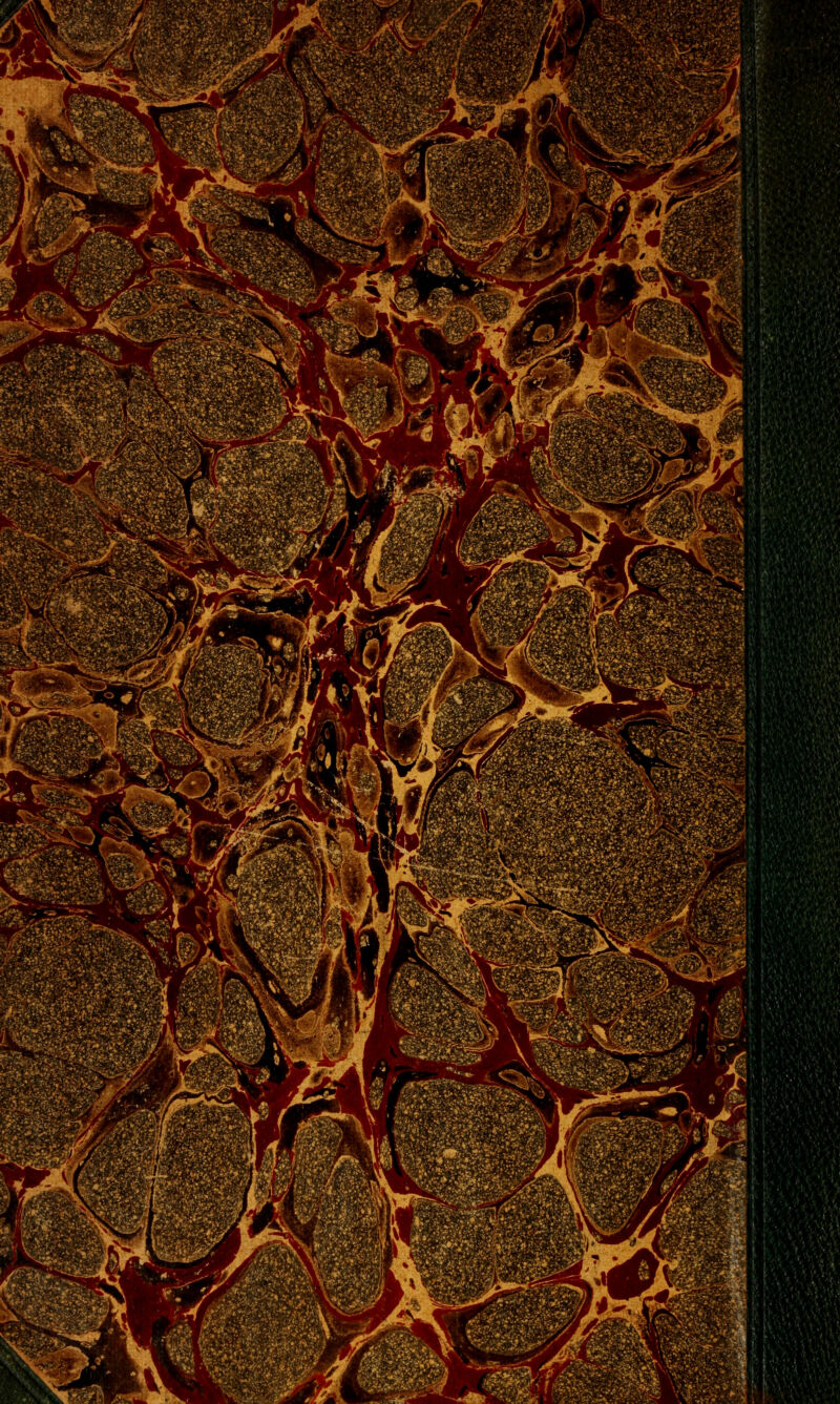 L?r-*>i m ff- v>. m. ■ ■'■. ,* ^M J^ï^*.^:,** ,>>#•