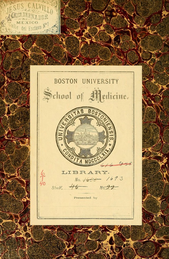 digitised image 2