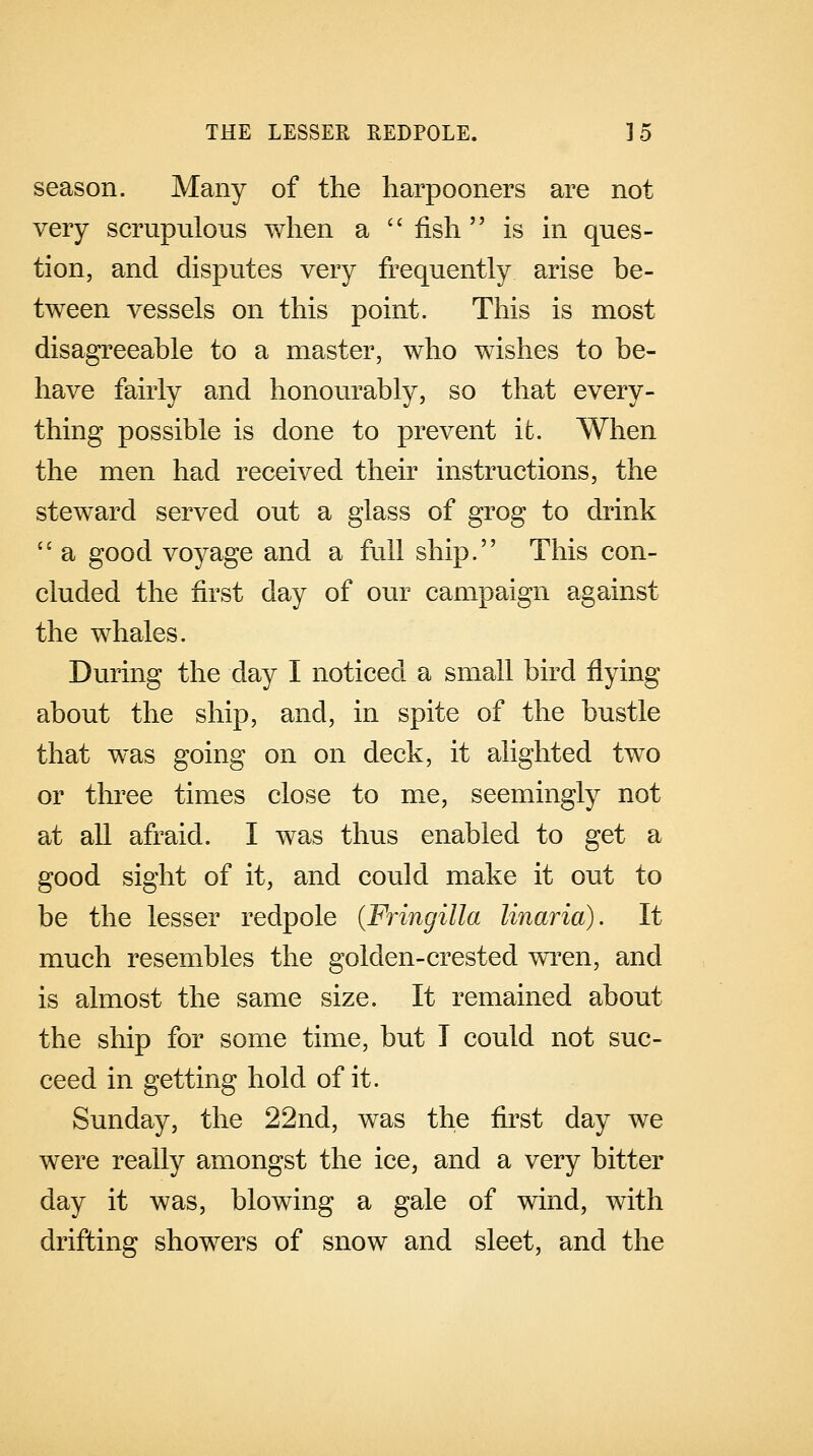 season. Many of the harpooners are not very scrupulous when a fish is in ques- tion, and disputes very frequently arise be- tween vessels on this point. This is most disagreeable to a master, who wishes to be- have fairly and honourably, so that every- thing possible is done to prevent it. When the men had received their instructions, the steward served out a glass of grog to drink  a good voyage and a full ship. This con- cluded the first day of our campaign against the whales. During the day I noticed a small bird flying about the ship, and, in spite of the bustle that was going on on deck, it alighted two or three times close to me, seemingly not at all afraid. I was thus enabled to get a good sight of it, and could make it out to be the lesser redpole (Fringilla linaria). It much resembles the golden-crested wren, and is almost the same size. It remained about the ship for some time, but I could not suc- ceed in getting hold of it. Sunday, the 22nd, was the first day we were really amongst the ice, and a very bitter day it was, blowing a gale of wind, with drifting showers of snow and sleet, and the