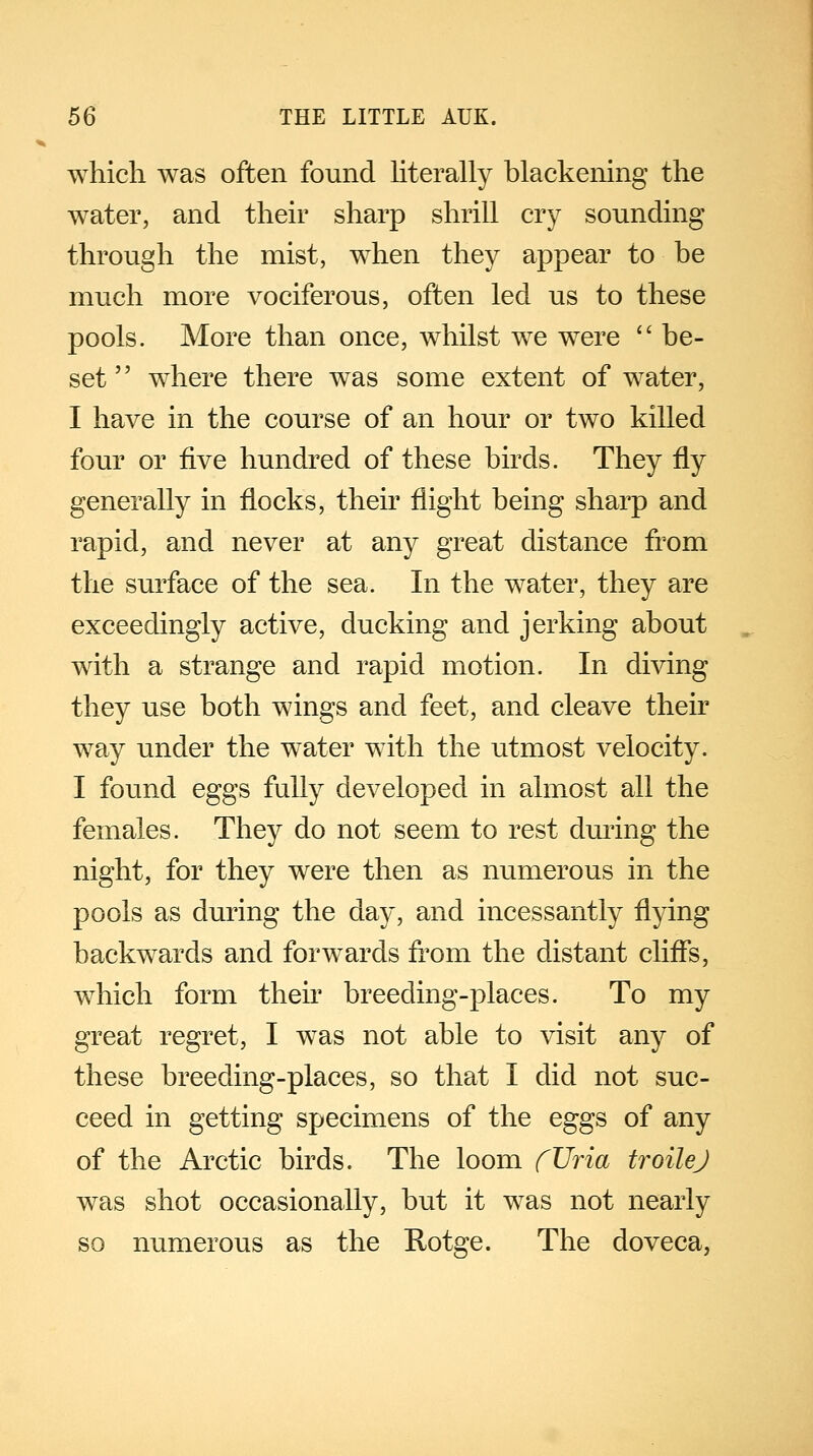 which was often found literally blackening the water, and their sharp shrill cry sounding through the mist, when they appear to be much more vociferous, often led us to these pools. More than once, whilst we were  be- set  where there was some extent of water, I have in the course of an hour or two killed four or five hundred of these birds. They fly generally in flocks, their flight being sharp and rapid, and never at any great distance from the surface of the sea. In the water, they are exceedingly active, ducking and jerking about with a strange and rapid motion. In diving they use both wings and feet, and cleave their way under the water with the utmost velocity. I found eggs fully developed in almost all the females. They do not seem to rest during the night, for they were then as numerous in the pools as during the day, and incessantly flying backwards and forwards from the distant cliffs, which form their breeding-places. To my great regret, I was not able to visit any of these breeding-places, so that I did not suc- ceed in getting specimens of the eggs of any of the Arctic birds. The loom fUria troilej was shot occasionally, but it was not nearly so numerous as the Rotge. The doveca,