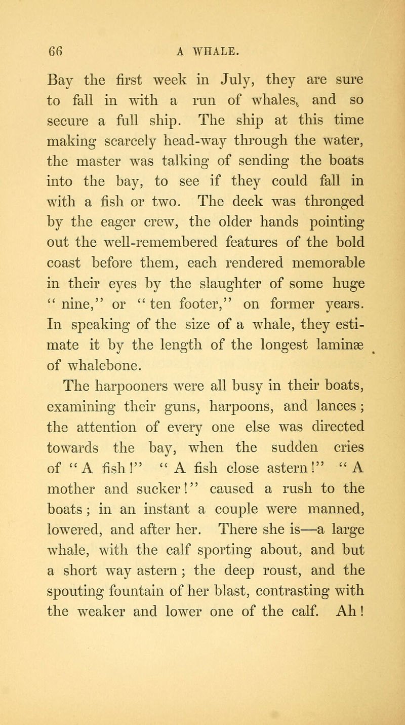 Bay the first week in July, they are sure to fall in with a run of whales,, and so secure a full ship. The ship at this time making scarcely head-way through the water, the master was talking of sending the boats into the bay, to see if they could fall in with a fish or two. The deck was thronged by the eager crew, the older hands pointing out the well-remembered features of the bold coast before them, each rendered memorable in their eyes by the slaughter of some huge  nine, or  ten footer, on former years. In speaking of the size of a whale, they esti- mate it by the length of the longest laminae of whalebone. The harpooners were all busy in their boats, examining their guns, harpoons, and lances ; the attention of every one else was directed towards the bay, when the sudden cries of A fish!  A fish close astern! A mother and sucker! caused a rush to the boats; in an instant a couple were manned, lowered, and after her. There she is—a large whale, with the calf sporting about, and but a short way astern ; the deep roust, and the spouting fountain of her blast, contrasting with the weaker and lower one of the calf. Ah!