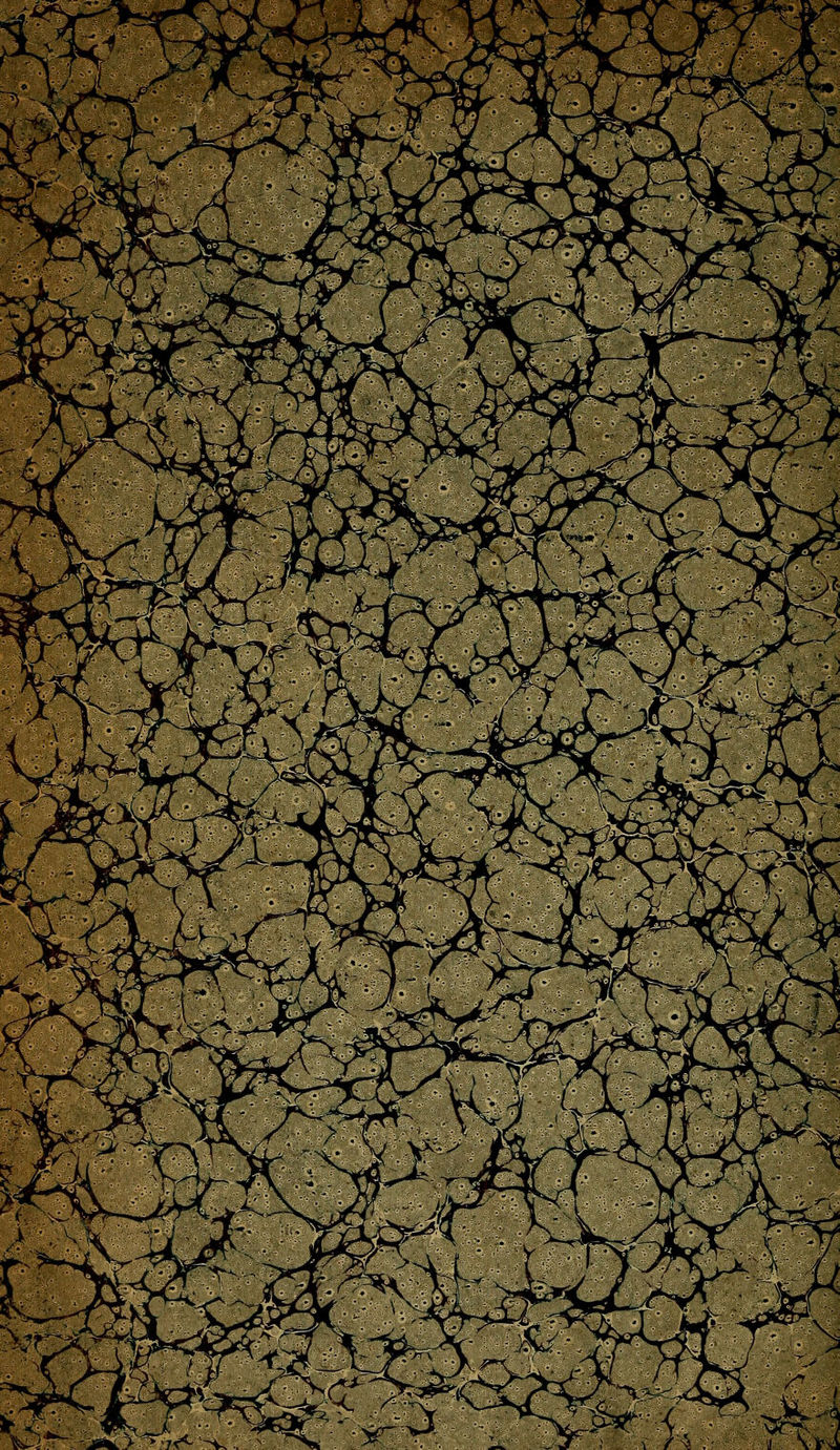 y^ ■T ^ - .^\ -f %; f7 .-«^