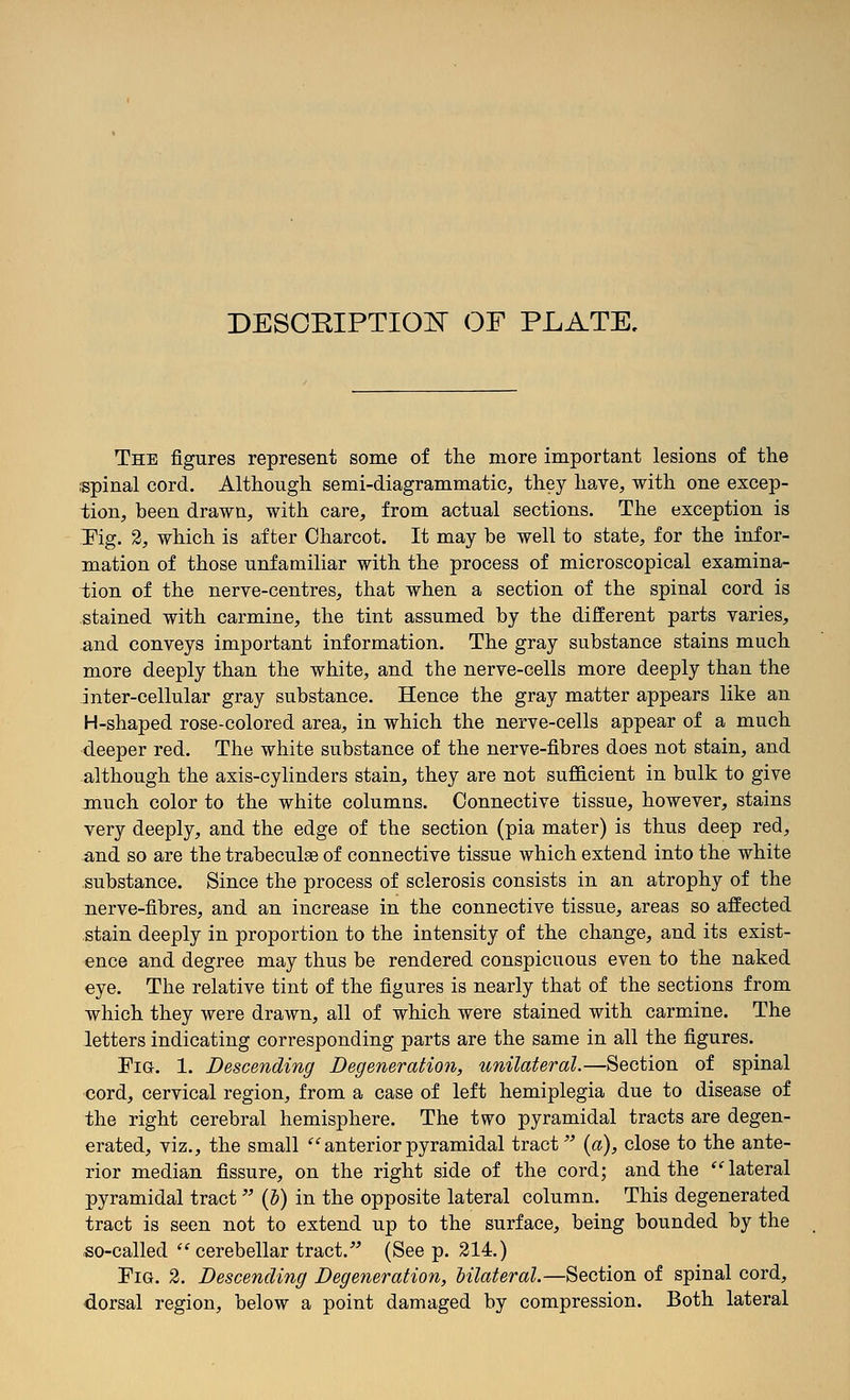 DESOEIPTIOK OF PLATE, The figures represent some of the more important lesions of the spinal cord. Although semi-diagrammatic, they have, with one excep- tion, been drawn, with care, from actual sections. The exception is Tig. 2, which is after Charcot. It may be well to state, for the infor- mation of those unfamiliar with the process of microscopical examina- tion of the nerve-centres, that when a section of the spinal cord is stained with carmine, the tint assumed by the different parts varies, and conveys important information. The gray substance stains much more deeply than the white, and the nerve-cells more deeply than the inter-cellular gray substance. Hence the gray matter appears like an H-shaped rose-colored area, in which the nerve-cells appear of a much deeper red. The white substance of the nerve-fibres does not stain, and although the axis-cylinders stain, they are not suflScient in bulk to give much color to the white columns. Connective tissue, however, stains very deeply, and the edge of the section (pia mater) is thus deep red, and so are the trabeculae of connective tissue which extend into the white substance. Since the process of sclerosis consists in an atrophy of the nerve-fibres, and an increase in the connective tissue, areas so affected stain deeply in proportion to the intensity of the change, and its exist- ence and degree may thus be rendered conspicuous even to the naked eye. The relative tint of the figures is nearly that of the sections from which they were drawn, all of which were stained with carmine. The letters indicating corresponding parts are the same in all the figures. Fig. 1. Descending Degeneration, unilateral.—Section of spinal ■cord, cervical region, from a case of left hemiplegia due to disease of the right cerebral hemisphere. The two pyramidal tracts are degen- erated, viz., the small '^'^ anterior pyramidal tract {a), close to the ante- rior median fissure, on the right side of the cord; and the  lateral pyramidal tract {V) in the opposite lateral column. This degenerated tract is seen not to extend up to the surface, being bounded by the so-called  cerebellar tract. ^^ (Seep. 214.) Fig. 2. Descending Degeneration, bilateral.—Section of spinal cord, dorsal region, below a point damaged by compression. Both lateral