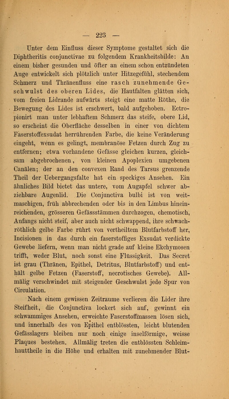 Unter dem Einfluss dieser Symptome gestaltet sich die Diphtheritis conjunctivae zu folgendem Krankheitsbilde: An einem bisher gesunden und öfter an einem schon entzündeten Auge entwickelt sich plötzlich unter Hitzegefühl, stechendem Schmerz und Thränenfluss eine rasch zunehmende Ge- schwulst des oberen Lides, die Hautfalten glätten sich, vom freien Lidrande aufwärts steigt eine matte Köthe, die Bewegung des Lides ist erschwert, bald aufgehoben. Ectro- pionirt man unter lebhaftem Schmerz das steife, obere Lid, so erscheint die Oberfläche desselben in einer von dichtem Faserstoffexsudat herrührenden Farbe, die keine Veränderung eingeht, wenn es gelingt, membranöse Fetzen durch Zug zu entfernen; etwa vorhandene Gefässe gleichen kurzen, gleich- sam abgebrochenen, von kleinen Apoplexien umgebenen Canälen;. der an den convexen Band des Tarsus grenzende Theil der Uebergangsfalte hat ein speckiges Ansehen. Ein ähnliches Bild bietet das untere, vom Augapfel schwer ab- ziehbare Augenlid. Die Conjnnctiva bulbi ist von weit- maschigen, früh abbrechenden oder bis in den Limbus hinein- reichenden, grösseren Gefässstämmen durchzogen, chemotisch, Anfangs nicht steif, aber auch nicht schwappend, ihre schwach- röthlich gelbe Farbe rührt von vertheiltem Blutfarbstoff her, Incisionen in das durch ein faserstoffiges Exsudat verdickte Gewebe liefern, wenn man nicht grade auf kleine Ekchymosen trifft, weder Blut, noch sonst eine Flüssigkeit. Das Secret ist grau (Thränen, Epithel, Detritus, Blutfarbstoff) und ent- hält gelbe Fetzen (Faserstoff, necrotisches Gewebe). All- mälig verschwindet mit steigender Geschwulst jede Spur von Circulation. Nach einem gewissen Zeiträume verlieren die Lider ihre Steifheit, die Conjunctiva lockert sich auf, gewinnt ein schwammiges Ansehen, erweichte Faserstoffmassen lösen sich, und innerhalb des von Epithel entblössten, leicht blutenden Gefässlagers bleiben nur noch einige inselförmige, weisse Plaques bestehen. Allmälig treten die entblössten Schleim- hauttheile in die Höhe und erhalten mit zunehmender Blut-