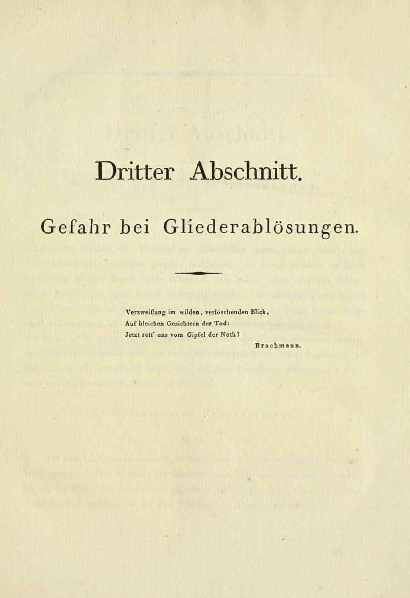 Dritter Abschnitt. Gefahr bei Gliederablösungen. Verzweiflung im -wilden, verlöschenden Blick, Auf bleichen Gesichtern der Tod: Jetzt rett' uns vom Gipfel der Noth! Brachmann.