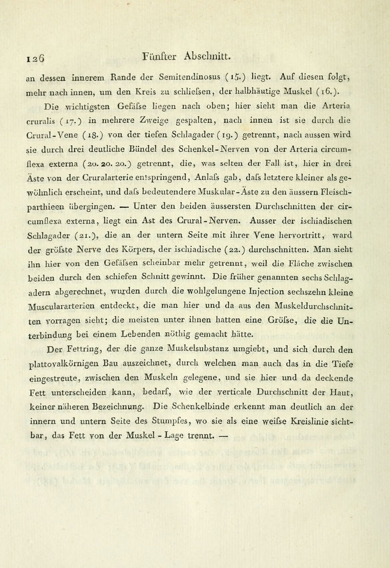 an dessen innerem Rande der Semitendinosus (i£.) liegt. Auf diesen folgt, mehr nach innen, um den Kreis zu schliefsen, der halbhäutige Muskel (16.). Die wichtigsten Gefäfse liegen nach oben; hier sieht man die Arteria cruralis (*70 in mehrere Zweige gespalten, nach innen ist sie durch die Crural-Vene (i8-) von der tiefen Schlagader (ig.) getrennt, nach aussen wird sie durch drei deutliche Bündel des Schenkel-Nerven von der Arteria circum- flexa externa (20. 20. 20.) getrennt, die, was selten der Fall ist, hier in drei Äste von der Cruralarterie entspringend, Anlafs gab, dafs letztere kleiner als ge- wöhnlich erscheint, und dafs bedeutendere Muskulär-Aste zu den äussern Fleisch- parthieen übergingen. — Unter den beiden äussersten Durchschnitten der cir- cumflexa externa, liegt ein Ast des Grural - Nerven. Ausser der ischiadischen Schlagader (21.), die an der untern Seite mit ihrer Vene hervortritt, ward der gröfste Nerve des Körpers, der ischiadische (22.) durchschnitten. Man sieht ihn hier von den Gefäfsen scheinbar mehr getrennt, weil die Fläche zwischen beiden durch den schiefen Schnitt gewinnt. Die früher genannten sechs Schlag- adern abgerechnet, wurden durch die wohlgelungene Injection sechszehn Ideine Musculararterien entdeckt, die man hier und da aus den Muskeldurchschnit- ten vorragen sieht; die meisten unter ihnen hatten eine Gröfse, die die Un- terbindung bei einem Lebenden nöthig gemacht hätte. Der Fettring, der die ganze Muskelsubstanz umgiebt, und sich durch den plattovalkörnigen Bau auszeichnet, durch welchen man auch das in die Tiefe eingestreute, zwischen den Muskeln gelegene, und sie hier und da deckende Fett unterscheiden kann, bedarf, wie der verticale Durchschnitt der Haut, keiner näheren Bezeichnung. Die Schenkelbinde erkennt man deutlich an der innern und untern Seite des Stumpfes, wo sie als eine weifse Kreislinie sicht- bar, das Fett von der Muskel -Lage trennt. —