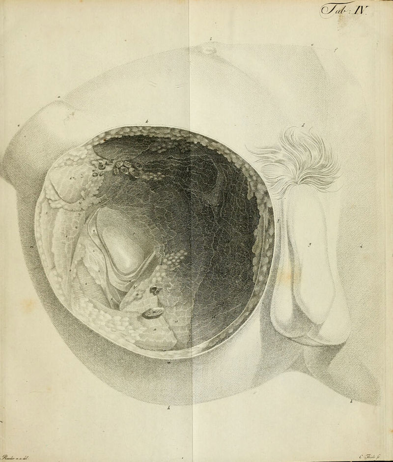 67^:1\ r L Wim '- s H '::V'-.^ '■■■;.■ ,' • ,?-*- > .'- «~=«£ r ä? /