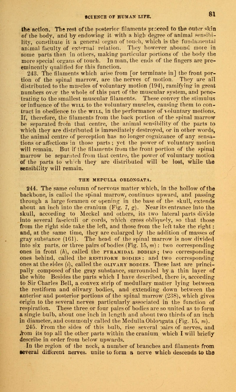the action. The rest of the posterior filaments pic.ceed to the outer skin of the body, and by endowing it with a high degree of animal sensibi- lity, constitute it a general organ of touch, which is the fundamental animal faculty of external relation. They however abound more in some parts than in others, making particular portions of the body the more special organs of touch. In man, the ends of the fingers are pre- eminently qualified for this function. 243. The filaments which arise from [or terminate in] the front por- tion of the spinal marrow, are the nerves cf motion. They are all distributed to the muscles of voluntary motion (194), ramifying in great numbers over the whole of this part of the muscular system, and pene- trating to the smallest muscular filaments. These convey the stimulus or influence of the will to the voluntary muscles, causing them to con- tract in obedience to the will, in the performance of voluntary motions. If, therefore, the filaments from the back portion of the spinal marrow be separated from that centre, the animal sensibility of the parts to which they are distributed is immediately destroyed, or in other words, the animal centre of perception has no longer cognizance of any sensa- tions or affections in those parts; yet the power of voluntary motion will remain. But if the filaments from the front portion of the spinal marrow be separated from that centre, the power of voluntary motion of the parts to which they are distributed will be lost, while the sensibility will remain. THE MEDULLA OBLONGATA. 244. The same column of nervous matter which, in the hollow of the backbone, is called the spinal marrow, continues upward, and passing through a large foramen or opening in the base of thp skull, extends about an inch into the cranium (Fig. 7, g). Near its entrance into the skull, according to Meckel and others, its two lateral parts divide into several fasciculi or cords, which cross obliquely, so that those from the right side take the left, and those from the left take the right: and, at the same time, they are enlarged by the addition of masses of gray substance (161). The head of the spinal marrow is now divided into six parts, or three pairs of bodies (Fig. 15, m) : two corresponding ones in front (h), called the pyramidal bodies ; two corresponding ones behind, called the restiform bodies : and two corresponding ones at the sides (i), called the olivary bodies. These last are princi- pally composed of the gray substance, surrounded by a thin layer of the white Besides the parts which I have described, there is, according to Sir Charles Bell, a convex strip of medullary matter lying between the restiform and olivary bodies, and extending down between the anterior and posterior portions of the spinal marrow (238), which gives origin to the several nerves particularly associated in the function of respiration. These three or four pairs of bodies are so united as to form a single bulb, about one inch in length and about two thirds of an inch in diameter, and commonly called the Medulla Oblongata (Fig. 15, m). 245. From the sides of this bulb, rise several :>airs of nerves, and jrom its top all the other parts within the cranium which I will briefly describe in order from below upwards. In the region of the neck, a number of branches and filaments from ■everal different nerves, unite to form a nerve which descends to the