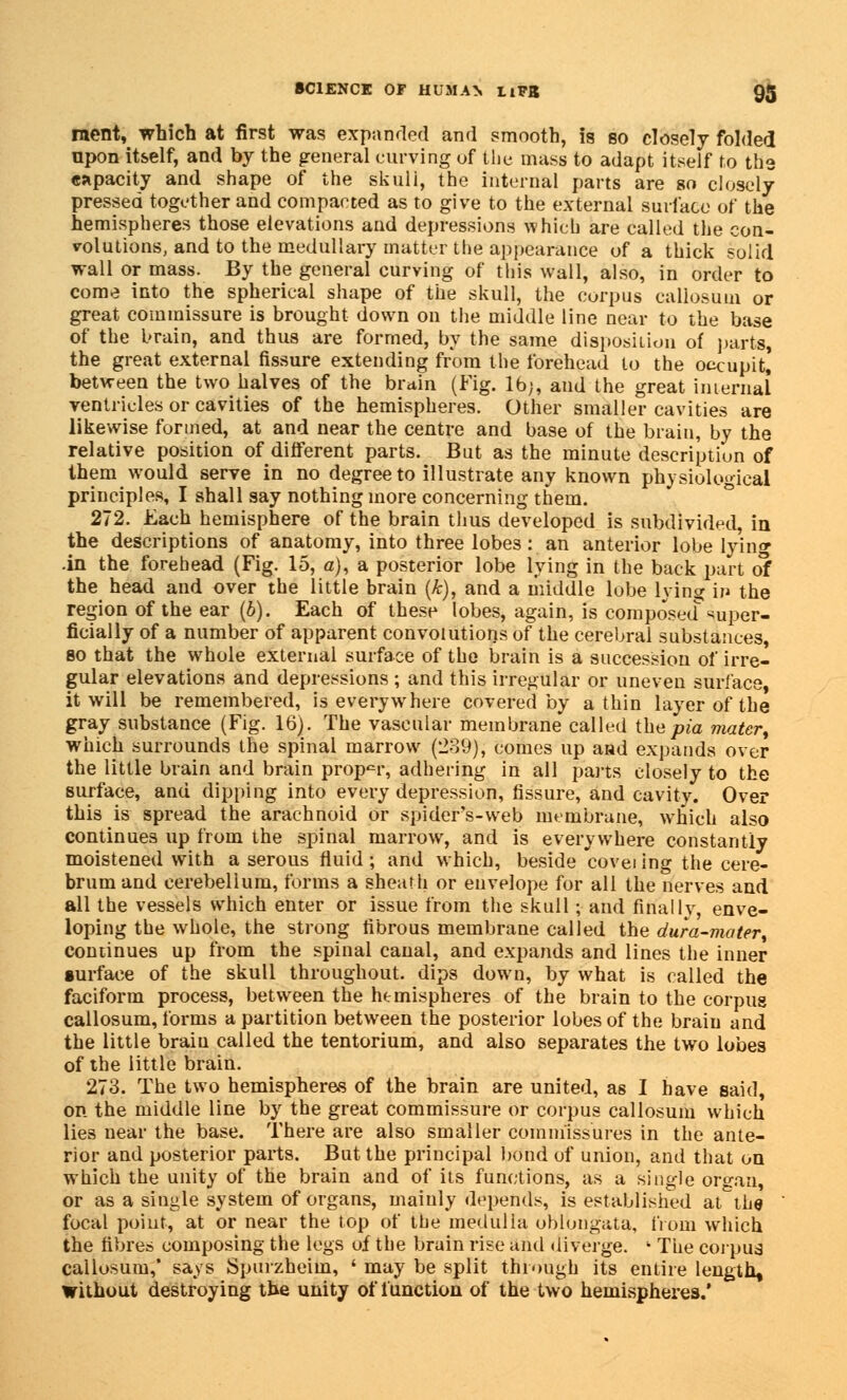 raent, which at first was expanded and smooth, is so closely folded upon itself, and by the general curving of the mass to adapt itself to the capacity and shape of the skuli, the internal parts are so closely pressed together and compacted as to give to the external surface of the hemispheres those elevations and depressions which are called the con- volutions, and to the medullary matter the appearance of a thick solid wall or mass. By the general curving of this wall, also, in order to come into the spherical shape of the skull, the corpus callosum or great commissure is brought down on the middle line near to the base of the brain, and thus are formed, by the same disposition of parts, the great external fissure extending from the forehead to the occupit, between the two halves of the brain (Fig. lb;, and the great internal ventricles or cavities of the hemispheres. Other smaller cavities are likewise formed, at and near the centre and base of the brain, by the relative position of different parts. But as the minute descriptiun of them would serve in no degree to illustrate any known physiological principles, I shall say nothing more concerning them. 272. Each hemisphere of the brain thus developed is subdivided, in the descriptions of anatomy, into three lobes: an anterior lobe lying -in the forehead (Fig. 15, a), a posterior lobe lying in the back part of the head and over the little brain (&), and a middle lobe lying in the region of the ear (b). Each of these lobes, again, is composed%uper- ficially of a number of apparent convolutions of the cerebral substances, so that the whole external surface of the brain is a succession of irre- gular elevations and depressions ; and this irregular or uneven surface, it will be remembered, is everywhere covered by a thin layer of the gray substance (Fig. 16). The vascular membrane called thepia mater, which surrounds the spinal marrow (239), comes up and expands over the little brain and brain proper, adhering in all parts closely to the surface, and dipping into every depression, fissure, and cavity. Over this is spread the arachnoid or spider's-web membrane, which also continues up from the spinal marrow, and is everywhere constantly moistened with a serous fluid ; and which, beside covei ing the cere- brum and cerebellum, forms a sheath or envelope for all the nerves and all the vessels which enter or issue from the skull; and finally, enve- loping the whole, the strong fibrous membrane called the dura-mater, continues up from the spinal canal, and expands and lines the inner surface of the skull throughout, dips down, by what is called the faciform process, between the hemispheres of the brain to the corpus callosum, forms a partition between the posterior lobes of the brain and the little braiu called the tentorium, and also separates the two lobes of the little brain. 273. The two hemispheres of the brain are united, as I have said, on the middle line by the great commissure or corpus callosum which lies near the base. There are also smaller commissures in the ante- rior and posterior parts. But the principal bond of union, and that on which the unity of the brain and of its functions, as a single organ, or as a single system of organs, mainly depends, is established at the focal point, at or near the top of the medulla oblongata, from which the fibres composing the legs of the brain rise and diverge. k The corpus callosum,' says Spurzheim, ' may be split through its entire length, without destroying the unity of function of the two hemispheres.'