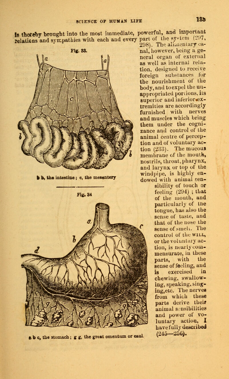 m Fig. S3. b b, the intestine; e, the mesentery Is thereby brought into the most immediate, powerful, and important relaticns and sympathies with each and every part of the system [297, 298). The alimentary ca- nal, however, being a ge- neral organ of external as well as internal rela- tion, designed to receive foreign substances fur the nourishment of the body, and to expel the un- appropriated portions, its superior and inferior«ex- tremities are accordingly furnished with nerves and muscles which bring them under the cogni- zance and control of the animal centre of percep- tion and of voluntary ac- tion (233). The mucous membrane of the mouth, nostrils, throat,pharynx, and larynx or top of the windpipe, is highly en- dowed with animal sen- sibility of touch or feeling (294) ; that of the mouth, and particularly of tne tongue, has also the sense of taste, and that of the nose the sense of sineh. The control of the will, or the voluntary ac- tion, is nearly com- mensurate, in these parts, with the Bense of feeling, and is exercised in chewing, swallow- ing, speaking, sing- ing,etc. The nerves from which these parts derive theif animal sensibilities and power of vo- luntary action, I have fully described ft b c, the stomach; g g, the great omentum or cauL (-*0 ° '* Fig. 34