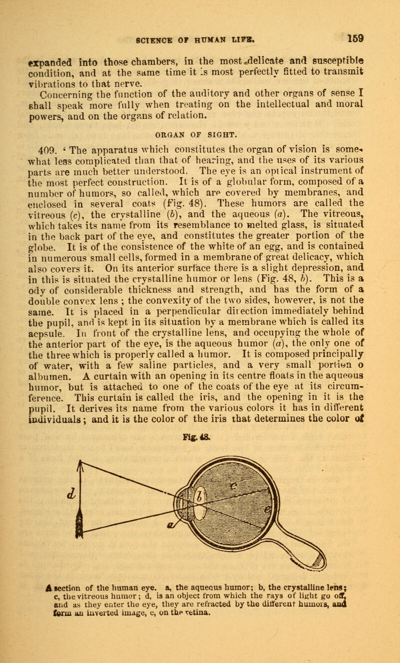 expanded into those chambers, in the most .delicate and susceptible condition, and at the same time it Is most perfectly fitted to transmit vibrations to that nerve. Concerning the function of the auditory and other organs of sense I shall speak more fully when treating on the intellectual and moral powers, and on the organs of relation. ORGAN OF SIGHT. 409. ' The apparatus which constitutes the organ of vision is some-, what lens complicated than that of hearing, and the uses of its various parts are much better understood. The eye is an optical instrument of the most perfect construction. It is of a globular form, composed of a number of humors, so called, which are covered by membranes, and enclosed in several coats (Fig. 48). These humors are called the vitreous (c), the crystalline (£), and the aqueous (a). The vitreous, which takes its name from its resemblance to melted glass, is situated in the back part of the eye, and constitutes the greater portion of the globe. It is of the consistence of the white of an egg, and is contained in numerous small cells, formed in a membrane of great delicacy, which also covers it. On its anterior surface there is a slight depression, and in this is situated the crystalline humor or lens (Fig. 48, b). This is a ody of considerable thickness and strength, and has the form of a double convex lens ; the convexity of the two sides, however, is not the same. It is placed in a perpendicular direction immediately behind the pupil, anrl is kept in its situation by a membrane which is called its acpsule. In front of the crystalline lens, and occupying the whole of the anterior part of the eye, is the aqueous humor (a), the only one of the three which is properly called a humor. It is composed principally of water, with a few saline particles, and a very small portion o albumen. A curtain with an opening in its centre floats in the aqueous humor, but is attached to one of the coats of the eye at its circum- ference. This curtaiu is called the iris, and the opening in it is the pupil. It derives its name from the various colors it has in different iudividuals; and it is the color of the iris that determines the color of Fit 4& ABection of the human eye. a, the aqueous humor; b, the crystalline lens; c, the vitreous humor; d, is an object from which the rays of light go off, and as they enter the eye, they are refracted by the different huinoia, au4 form an inverted image, e, on thp retina.