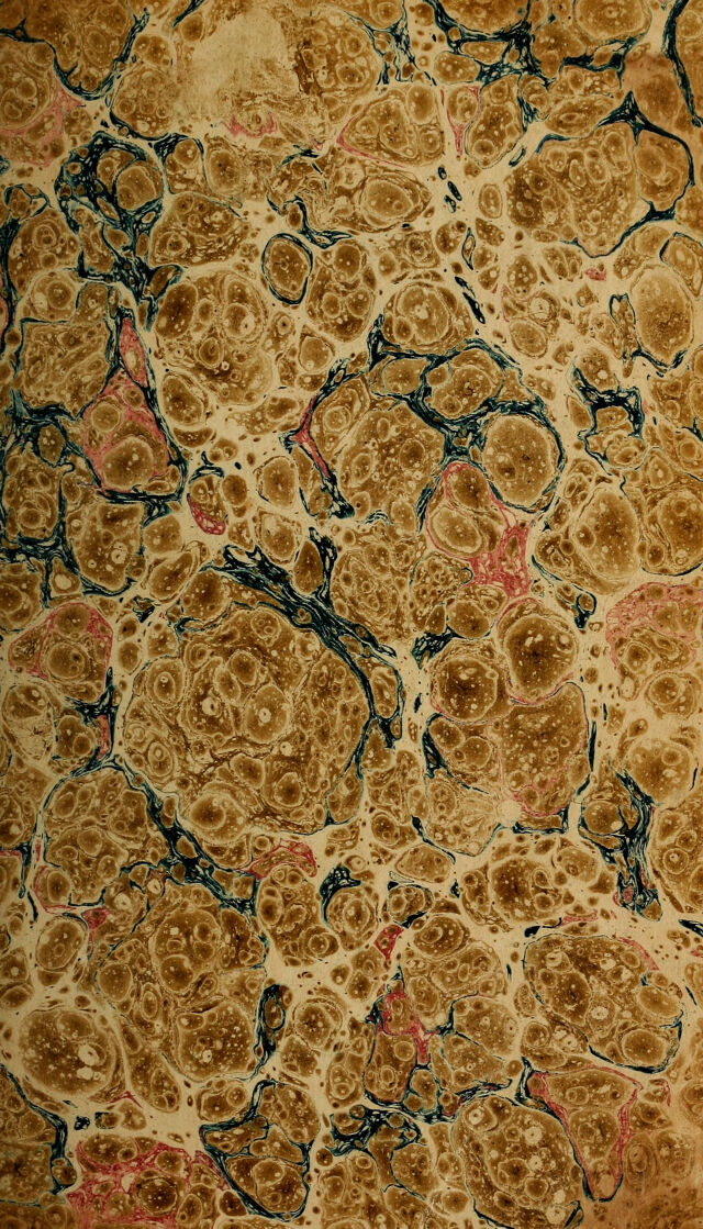 No text description is available for this image