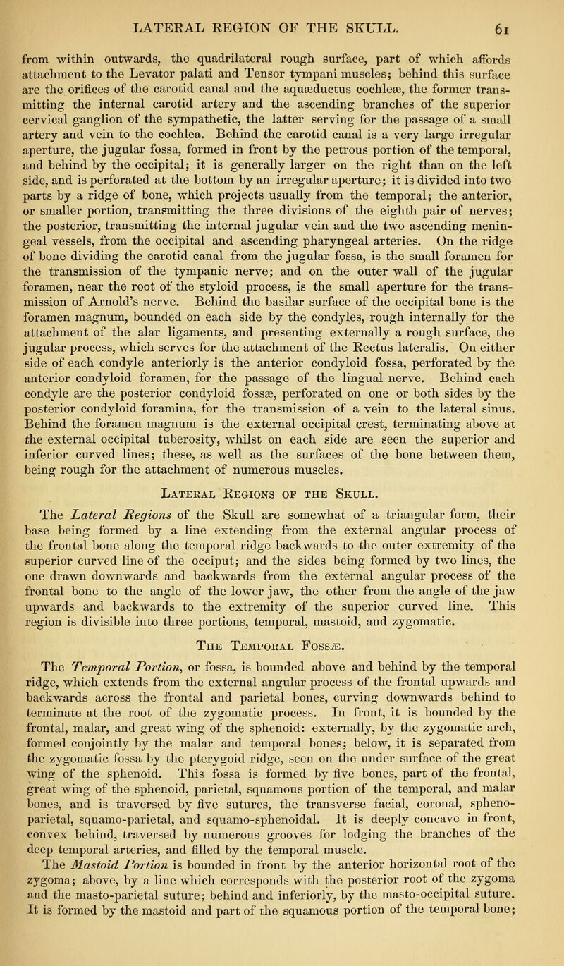 from within outwards, the quadrilateral rough surface, part of which affords attachment to the Levator palati and Tensor tympani muscles; behind this surface are the orifices of the carotid canal and the aquEeductus cochleae, the former trans- mitting the internal carotid artery and the ascending branches of the superior cervical ganglion of the sympathetic, the latter serving for the passage of a small artery and vein to the cochlea. Behind the carotid canal is a very large irregular aperture, the jugular fossa, formed in front by the petrous portion of the temporal, and behind by the occipital; it is generally larger on the right than on the left side, and is perforated at the bottom by an irregular aperture; it is divided into two parts by a ridge of bone, which projects usually from the temporal; the anterior, or smaller portion, transmitting the three divisions of the eighth pair of nerves; the posterior, transmitting the internal jugular vein and the two ascending menin- geal vessels, from the occipital and ascending pharyngeal arteries. On the ridge of bone dividing the carotid canal from the jugular fossa, is the small foramen for the transmission of the tympanic nerve; and on the outer wall of the jugular foramen, near the root of the styloid process, is the small aperture for the trans- mission of Arnold's nerve. Behind the basilar surface of the occipital bone is the foramen magnum, bounded on each side by the condyles, rough internally for the attachment of the alar ligaments, and presenting externally a rough surface, the jugular process, which serves for the attachment of the Rectus lateralis. On either side of each condyle anteriorly is the anterior condyloid fossa, perforated by the anterior condyloid foramen, for the passage of the lingual nerve. Behind each condyle are the posterior condyloid foss«, perforated on one or both sides by the posterior condyloid foramina, for the transmission of a vein to the lateral sinus. Behind the foramen magnum is the external occipital crest, terminating above at the external occipital tuberosity, whilst on each side are seen the superior and inferior curved lines; these, as well as the surfaces of the bone between them, being rough for the attachment of numerous muscles. Lateral Regions op the Skull. The Lateral Regions of the Skull are somewhat of a triangular form, their base being formed by a line extending from the external angular process of the frontal bone along the temporal ridge backwards to the outer extremity of the superior curved line of the occiput; and the sides being formed by two lines, the one drawn downwards and backwards from the external angular process of the frontal bone to the angle of the lower jaw, the other from the angle of the jaw upwards and backwards to the extremity of the superior curved line. This region is divisible into three portions, temporal, mastoid, and zygomatic. The Temporal Foss^. The Temporal Portion, or fossa, is bounded above and behind by the temporal ridge, which extends fi-om the external angular process of the frontal upwards and backwards across the frontal and parietal bones, curving downwards behind to terminate at the root of the zygomatic process. La front, it is bounded by the frontal, malar, and great wing of the sphenoid: externally, by the zygomatic arch, formed conjointly by the malar and temporal bones; below, it is separated from the zygomatic fossa by the pterygoid ridge, seen on the under surface of the great wing of the sphenoid. This fossa is formed by five bones, part of the frontal, great wing of the sphenoid, parietal, squamous portion of the temporal, and malar bones, and is traversed by five sutures, the transverse facial, coronal, spheno- parietal, squamo-parietal, and squamo-sphenoidal. It is deeply concave in front, convex behind, traversed by numerous grooves for lodging the branches of the deep temporal arteries, and filled by the temporal muscle. The Mastoid Portion is bounded in front by the anterior horizontal root of the zygoma; above, by a line which corresponds with the posterior root of the zygoma and the masto-parietal suture; behind and inferiorly, by the masto-occipital suture. It is formed by the mastoid and part of the squamous portion of the temporal bone;