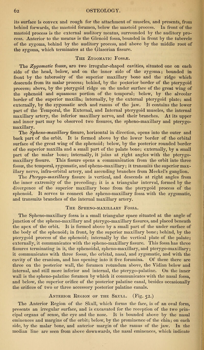 its surface is convex and rough for the attachment of muscles, and presents, from behind forwards, the mastoid foramen, below the mastoid process. In front of the mastoid process is the external auditory meatus, surrounded by the auditory pro- cess. Anterior to the meatus is the Glenoid fossa, bounded in front by the tubercle of the zygoma, behind by the auditory process, and above by the middle root of the zygoma, which terminates at the Glaserian fissure. The Ztgomatic Foss^. The Zygomatic fossae, are two irregular-shaped cavities, situated one on each side of the head, below, and on the inner side of the zygoma; bounded in front by the tuberosity of the superior maxillary bone and the ridge which descends from its malar process; behind, by the posterior border of the pterygoid process; above, by the pterygoid ridge on the under surface of the great wing of the sphenoid and squamous portion of the temporal; below, by the alveolar border of the superior maxilla; internally, by the external pterygoid plate; and externally, by the zygomatic arch and ramus of the jaw. It contains the lower part of the Temporal, the External, and Internal pterygoid muscles, the internal maxillary artery, the inferior maxillary nerve, and their branches. At its upper and inner part may be observed two fissures, the spheno-maxillary and pterygo- maxillary. The Spheno-maxillary fissure, horizontal in direction, opens into the outer and back part of the orbit. It is formed above by the lower border of the orbital surface of the great wing of the sphenoid; below, by the posterior rounded border of the superior maxilla and a small part of the palate bone; externally, by a small part of the malar bone; internally, it joins at right angles with the pterygo- maxillary fissure. This fissure opens a communication from the orbit into three fossae, the temporal, zygomatic, and spheno-maxillary; it transmits the superior max- illary nerve, infra-orbital artery, and ascending branches from Meckel's ganglion. The Ptery go-maxillary fissure is vertical, and descends at right angles from the inner extremity of the preceding; it is a triangular interval, formed by the divergence of the superior maxillary bone from the pterygoid process of the sphenoid. It serves to connect the spheno-maxillary fossa with the zygomatic, and transmits branches of the internal maxillary artery. Thk Spheno-maxillary Fossa. The Spheno-maxillary fossa is a small triangular space situated at the angle of junction of the spheno-maxillary and pterygo-maxillary fissures, and placed beneath the apex of the orbit. It is formed above by a small part of the under surface of the body of the sphenoid; in front, by the superior maxillary bone; behind, by the pterygoid process of the sphenoid; internally by the vertical plate of the palate; externally, it communicates with the spheno-maxillary fissure. This fossa has three fissures terminating in it, the sphenoidal, spheno-maxillary, and pterygo-maxillary; it communicates with three fossae, the orbital, nasal, and zygomatic, and with the cavity of the cranium, and has opening into it five foramina. Of these there are three on the posterior wall, the foramen rotundum above, the Vidian below and internal, and still more inferior and internal, the pterygo-palatine. On the inner wall is the spheno-palatine foramen by which it communicates with the nasal fossa, and below, the superior orifice of the posterior palatine canal, besides occasionally the orifices of two or three accessory posterior palatine canals. Anterior Region of the Skull. (Fig. 52.) The Anterior Region of the Skull, which forms the face, is of an oval form, presents an irregular surface, and is excavated for the reception of the two prin- cipal organs of sense, the eye and the nose. It is bounded above by the nasal eminences and margins of the orbit; below, by the prominence of the chin; on each side, by the malar bone, and anterior margin of the ramus of the jaw. In the median line are seen from above downwards, the nasal eminences, which indicate