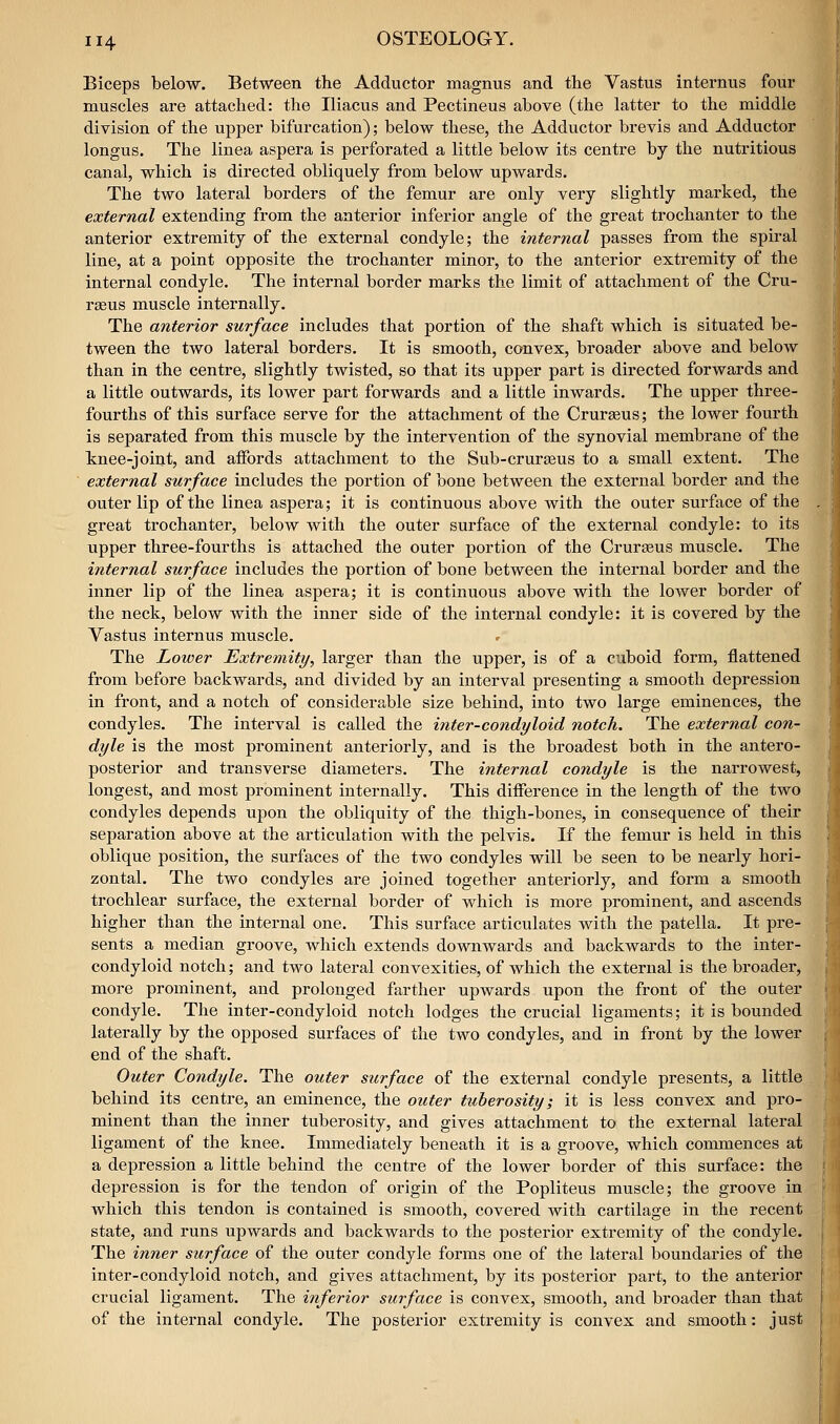 Biceps below. Between the Adductor magnus and the Vastus internus four muscles are attached: the Iliacus and Pectineus above (the latter to the middle division of the upper bifurcation); below these, the Adductor brevis and Adductor longus. The linea aspera is perforated a little below its centre by the nutritious canal, which is directed obliquely from below upwards. The two lateral borders of the femur are only very slightly marked, the external extending from the anterior inferior angle of the great trochanter to the anterior extremity of the external condyle; the internal passes from the spiral line, at a point opposite the trochanter minor, to the anterior extremity of the internal condyle. The internal border marks the limit of attachment of the Cru- rseus muscle internally. The anterior surface includes that portion of the shaft which is situated be- tween the two lateral borders. It is smooth, convex, broader above and below than in the centre, slightly twisted, so that its upper part is directed forwards and a little outwards, its lower part forwards and a little inwards. The upper three- fourths of this surface serve for the attachment of the Crurseus; the lower fourth is separated from this muscle by the intervention of the synovial membrane of the knee-joint, and affords attachment to the Sub-crurasus to a small extent. The external surface includes the portion of bone between the external border and the outer lip of the linea aspera; it is continuous above with the outer surface of the great trochanter, below with the outer surface of the external condyle: to its upper three-fourths is attached the outer portion of the Crurseus muscle. The internal surface includes the portion of bone between the internal border and the inner lip of the linea aspera; it is continuous above with the lower border of the neck, below with the inner side of the internal condyle: it is covered by the Vastus internus muscle. The Lower Extremity, larger than the upper, is of a cuboid form, flattened from before backwards, and divided by an interval presenting a smooth depression in front, and a notch of considerable size behind, into two large eminences, the condyles. The interval is called the inter-condyloid notch. The external con- dyle is the most prominent anteriorly, and is the broadest both in the antero- posterior and transverse diameters. The internal condyle is the narrowest, longest, and most prominent internally. This difference in the length of the two condyles depends upon the obliquity of the thigh-bones, in consequence of their separation above at the articulation with the pelvis. If the femur is held in this oblique position, the surfaces of the two condyles will be seen to be nearly hori- zontal. The two condyles are joined together anteriorly, and form a smooth trochlear surface, the external border of which is more prominent, and ascends higher than the internal one. This surface articulates with the patella. It pre- sents a median groove, which extends downwards and backwards to the inter- condyloid notch; and two lateral convexities, of which the external is the broader, more prominent, and prolonged farther upwards upon the front of the outer condyle. The inter-condyloid notch lodges the crucial ligaments; it is bounded laterally by the opposed surfaces of the two condyles, and in front by the lower end of the shaft. Outer Condyle. The outer surface of the external condyle presents, a little behind its centre, an eminence, the outer tuberosity; it is less convex and pro- minent than the inner tuberosity, and gives attachment to the external lateral ligament of the knee. Immediately beneath it is a groove, which commences at a depression a little behind the centre of the lower border of this surface: the depression is for the tendon of origin of the Popliteus muscle; the groove in which this tendon is contained is smooth, covered with cartilage in the recent state, and runs upwards and backwards to the posterior extremity of the condyle. The inner surface of the outer condyle forms one of the lateral boundaries of the inter-condyloid notch, and gives attachment, by its posterior part, to the anterior crucial ligament. The inferior surface is convex, smooth, and broader than that of the internal condyle. The posterior extremity is convex and smooth: just