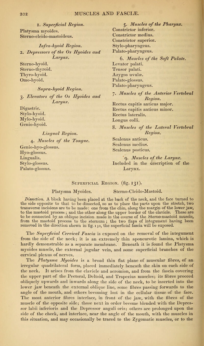 I. Superficial Region. Platysma myoides. Sterno-cleido-mastoideus. Infra-hyoid Regio7i. 2. Depressors of the Os Hyoides and Larynx. Sterno-hyoid. Sterno-thyroid. Thyro-hyoid. Omo-hyoid. Supra-hyoid Region. 3. Elevators of the Os Hyoides and Larynx. Digastric. Stylo-hyoid. Mylo-hyoid. Genio-hyoid. Lingual Region. 4. 3Iuscles of the Tongue. Genio-hyo-glossus. Hyo-glossus. Lingualis. Stylo-glossus. Palato-fflossus. 5. Muscles of the Pharynx. Constrictor inferior. Constrictor medius. Constrictor superior. Stylo-pharyngeus. Palato-pharyngeus. 6. Muscles of the Soft Palate. Levator palati. Tensor palati. Azygos uvulae. Palato-glossus. Palato-pharyngeus. 7. Muscles of the Anterior Vertebral Region. Rectus capitis anticus major. Rectus capitis anticus minor. Rectus lateralis. Longus colli. 8. Muscles of the Lateral Vertebral Region. Scalenus anticus. Scalenus medius. Scalenus posticus. '9. Muscles of the Larynx. Included in the description of the Larynx. Superficial Region, (fig. 131)- Platysma Myoides. Sterno-Cleido-Mastoid. Dissection. A block having been placed at the back of the neck, and the face turned to the side opposite to that to be dissected, so as to place the parts upon the stretch, two transverse incisions are to be made: one from the chin, along the margin of the lower jaw, to the mastoid process ; and the other along the upper border of the clavicle. These are to be connected by an oblique incision made in the course of the Sterno-mastoid muscle, from the mastoid process to the sternum ; the two flaps of integument having been removed in the direction shewn in fig. 130, the superficial fascia will be exposed. The Superficial Cervical Fascia is exposed on the removal of the integument from the side of the neck; it is an extremely thin aponeurotic lamina, which is hardly demonstrable as a separate membrane. Beneath it is found the Platysma myoides muscle, the external jugular vein, and some superficial branches of the cervical plexus of nerves. The Platysma Myoides is a broad thin flat plane of muscular fibres, of an irregular quadrilateral form, placed immediately beneath the skin on each side of the neck. It arises from the clavicle and acroinion, and from the fascia covering the upper part of the Pectoral, Deltoid, and Trapezius muscles; its fibres proceed obliquely upwards and inwards along the side of the neck, to be inserted into the lower jaw beneath the external obliqvie line, some fibres passing forwards to the angle of the mouth, and others becoming lost in the cellular tissue of the face. The most anterior fibres interlace, in front of the jaw, with the fibres of the muscle of the opposite side; those next in order become blended with the Depres- sor labii inferioris and the Depressor anguli oris; others are prolonged upon the side of the cheek, and interlace, near the angle of the mouth, with the muscles in this situation, and may occasionally be traced to the Zygomatic muscles, or to the