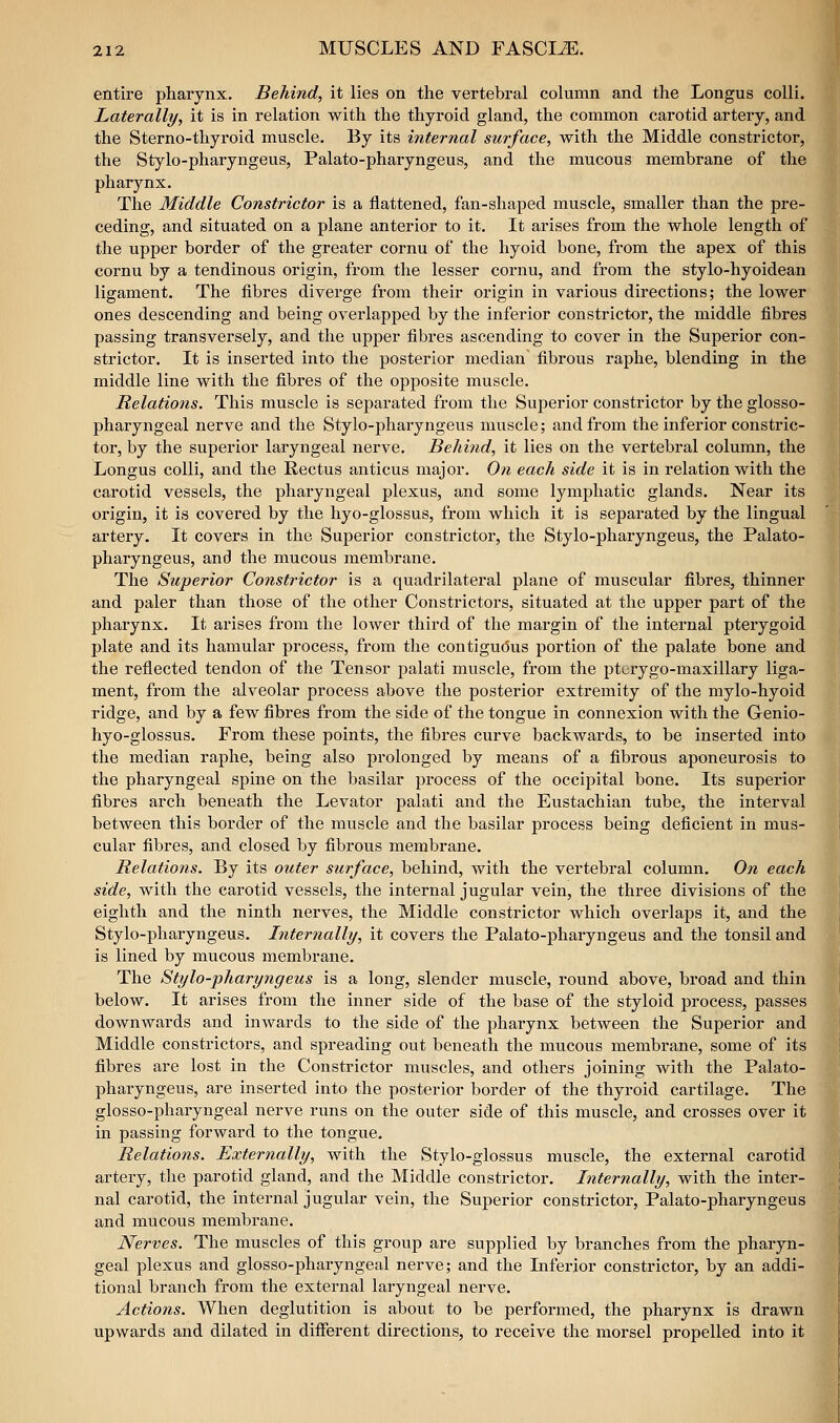 entire pharynx. Behind, it lies on the vertebi*al column and the Longus colli. Laterally, it is in relation with the thyroid gland, the common carotid artery, and the Sterno-thyroid muscle. By its internal surface, with the Middle constrictor, the Stylo-pharyngeus, Palato-pharyngeus, and the mucous membrane of the pharynx. The Middle Constrictor is a flattened, fan-shaped muscle, smaller than the pre- ceding, and situated on a plane anterior to it. It arises from the whole length of the upper border of the greater cornu of the liyoid bone, from the apex of this cornu by a tendinous origin, from the lesser cornu, and from the stylo-hyoidean ligament. The fibres diverge from their origin in various directions; the lower ones descending and being overlapped by the inferior constrictor, the middle fibres passing transversely, and the upper fibres ascending to cover in the Superior con- strictor. It is inserted into the posterior median' fibrous raphe, blending in the middle line with the fibres of the opposite muscle. Relations. This muscle is separated from the Superior constrictor by the glosso- pharyngeal nerve and the Stylo-phai-yngeus muscle; and from the inferior constric- tor, by the superior laryngeal nerve. Behind, it lies on the vertebral column, the Longus colli, and the Rectus anticus major. On each side it is in relation with the carotid vessels, the pharyngeal plexus, and some lymphatic glands. Near its origin, it is covered by the hyo-glossus, from which it is separated by the lingual artery. It covers in the Superior constrictor, the Stylo-pharyngeus, the Palato- pharyngeus, and the mucous membrane. The Superior Constrictor is a quadrilateral plane of muscular fibres, thinner and paler than those of the other Constrictors, situated at the upper part of the pharynx. It arises from the lower third of the margin of the internal pterygoid plate and its hamular process, from the contiguous portion of the palate bone and the reflected tendon of the Tensor palati muscle, from the pterygo-maxillary liga- ment, from the alveolar process above the posterior extremity of the mylo-hyoid ridge, and by a few fibres from the side of the tongue in connexion with the Genio- hyo-glossus. From these points, the fibres curve backwards, to be inserted into the median raphe, being also prolonged by means of a fibrous aponeurosis to the pharyngeal spine on the basilar process of the occipital bone. Its superior fibres arch beneath the Levator palati and the Eustachian tube, the interval between this border of the muscle and the basilar process being deficient in mus- cular fibres, and closed by fibrous membrane. Relations. By its outer surface, behind, with the vertebral column. On each side, with the carotid vessels, the internal jugular vein, the three divisions of the eighth and the ninth nerves, the Middle constrictor which overlaps it, and the Stylo-pharyngeus. Internally, it covers the Palato-pharyngeus and the tonsil and is lined by mucous membrane. The Stylo-pharyngeus is a long, slender muscle, round above, broad and thin below. It arises from the inner side of the base of the styloid process, passes downwards and inwards to the side of the pharynx between the Superior and Middle constrictors, and spreading out beneath the mucous membrane, some of its fibres are lost in the Constrictor muscles, and others joining with the Palato- pharyngeus, are inserted into the posterior border of the thyroid cartilage. The glosso-pharyngeal nerve runs on the outer side of this muscle, and crosses over it in passing forward to the tongue. Relations. Externally, with the Stylo-glossus muscle, the external carotid artery, the parotid gland, and the Middle constrictor. Internally, with the inter- nal carotid, the internal jugular vein, the Superior constrictor, Palato-pharyngeus and mucous membrane. Nerves. The muscles of this group are supplied by branches from the pharyn- geal plexus and glosso-pharyngeal nerve; and the Inferior constrictor, by an addi- tional branch from the external laryngeal nerve. Actions. When deglutition is about to be performed, the pharynx is drawn upwards and dilated in diflerent directions, to receive the morsel propelled into it