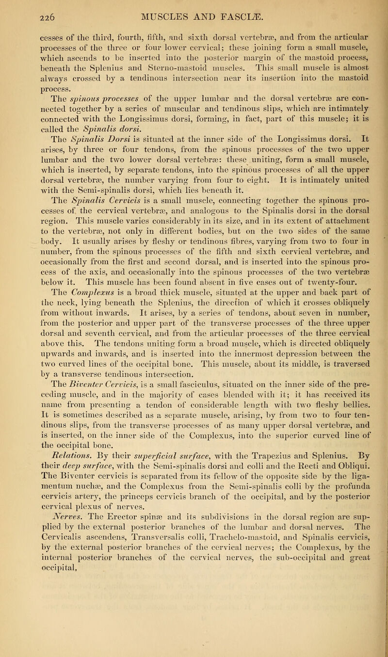 cesses of the third, fourth, fifth, and sixth dorsal vertebrae, and from the articular processes of the three or four lower cervical; these joining form a small muscle, which ascends to be inserted into the posterior margin of the mastoid process, beneath the Splenius and Sterno-mastoid muscles. This small muscle is almost always crossed by a tendinous intersection near its insertion into the mastoid process. The spinous processes of the upper lumbar and the dorsal vertebra3 are con- nected together by a series of muscular and tendinous slips, which are intimately connected with the Longissimus dorsi, forming, in fact, part of this muscle; it is called the Spinalis dorsi. The Spinalis Dorsi is situated at the inner side of the Longissimus dorsi. It arises, by three or four tendons, from the spinous processes of the two upper lumbar and the two lower dorsal vertebrae: these uniting, form a small muscle, which is inserted, by separate tendons, into the spinous processes of all the upper dorsal vertebra?, the number varying from four to eight. It is intimately united with the Semi-spinalis dorsi, which lies beneath it. The Spinalis Cervicis is a small muscle, connecting together the spinous pro- cesses of the cervical vertebrte, and analogous to the Spinalis dorsi in the dorsal region. This muscle varies considerably in its size, and in its extent of attachment to the vertebras, not only in different bodies, but on the two sides of the same body. It usually arises by fleshy or tendinous fibres, varying from two to four in number, from the spinous processes of the fifth and sixth cervical vertebrae, and occasionally from the first and second dorsal, and is inserted into the spinous pro- cess of the axis, and occasionally into the spinous processes of the two vertebrse below it. This muscle has been found absent in five cases out of twenty-four. The Complexus is a broad thick muscle, situated at the upper and back part of the neck, lying beneath the Splenius, the direcfion of which it crosses obliquely from without inwards. It arises, by a series of tendons, about seven in number, from the posterior and upper part of the transverse processes of the three upper dorsal and seventh cervical, and from the articular processes of the three cervical above this. The tendons uniting form a broad muscle, which is directed obliquely upwards and inwards, and is inserted into the innermost depression between the two curved lines of the occipital bone. This muscle, about its middle, is traversed by a transverse tendinous intersection. The Biventer Cervicis, is a small fasciculus, situated on the inner side of the pre- ceding muscle, and in the majority of cases blended with it; it has received its name from presenting a tendon of considerable length with tAvo fleshy bellies. It is sometimes described as a separate muscle, arising, by from two to four ten- dinous slips, from the transverse processes of as many upper dorsal vertebrae, and is inserted, on the inner side of the Complexus, into the superior curved line of the occipital bone. Relations. By their superficial surface, with the Trapezius and Splenius. By their deep surface, with the Semi-spinalis dorsi and colli and the Recti and Obliqui. The Biventer cervicis is separated from its fellow of the opposite side by the liga- mentum nuchje, and the Complexus from the Semi-spinalis colli by the profunda cervicis artery, the princeps cervicis branch of the occipital, and by the posterior cervical plexus of nerves. Nerves. The Erector spinas and its subdivisions in the dorsal region are sup- plied by the external posterior branches of the lumbar and dorsal nerves. The Cervicalis ascendens, Transversalis colli, Trachelo-mastoid, and Spinalis cervicis, by the external posterior branches of the cervical nerves; the Complexus, by the internal posterior branches of the cervical nerves, the sub-occipital and great occipital.