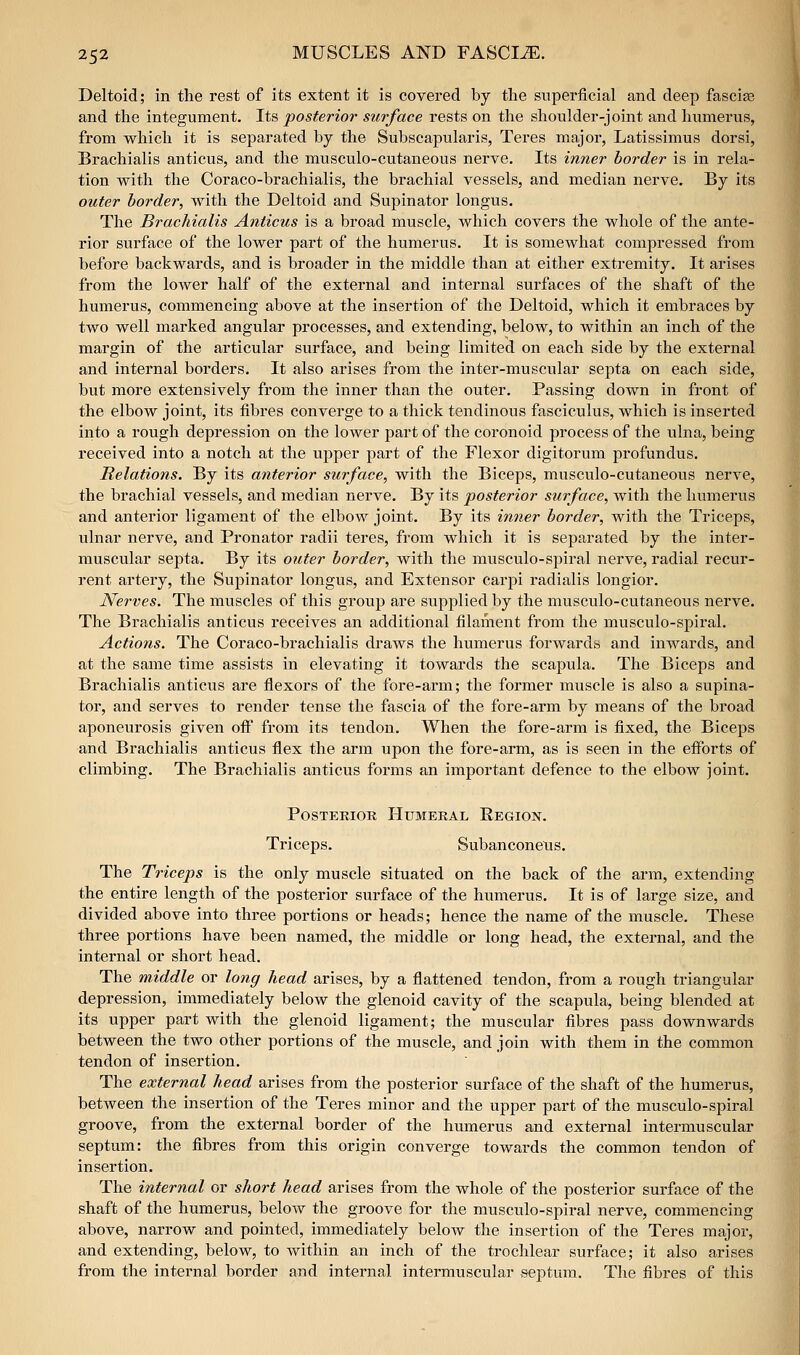 Deltoid; in the rest of its extent it is covered by the superficial and deep fascife and the integument. Its posterior surface rests on the shoulder-joint and humerus, from which it is separated by the Subscapularis, Teres major, Latissimus dorsi, Brachialis anticus, and the musculo-cutaneous nerve. Its inner border is in rela- tion with the Coraco-brachialis, the brachial vessels, and median nerve. By its outer border, with the Deltoid and Supinator longus. The Brachialis Anticus is a broad muscle, which covers the whole of the ante- rior svirface of the lower part of the humerus. It is somewhat compressed from before backwards, and is broader in the middle than at either extremity. It arises from the lower half of the external and internal surfaces of the shaft of the humerus, commencing above at the insertion of the Deltoid, which it embraces by two well marked angular processes, and extending, below, to within an inch of the margin of the articular surface, and being limited on each side by the external and internal borders. It also arises from the inter-muscular septa on each side, but more extensively from the inner than the outer. Passing down in front of the elbow joint, its fibres converge to a thick tendinous fasciculus, which is inserted into a rough depression on the lower part of the coronoid process of the ulna, being received into a notch at the upper part of the Flexor digitorum profundus. Relations. By its anterior surface, with the Biceps, musculo-cutaneous nerve, the brachial vessels, and median nerve. By its posterior surface, with the humerus and anterior ligament of the elbow joint. By its inner border, with the Triceps, ulnar nerve, and Pronator radii teres, from which it is separated by the inter- muscular septa. By its outer border, with the musculo-spiral nerve, radial recur- rent artery, the Supinator longus, and Extensor carpi radialis longior. Nerves. The muscles of this group are supplied by the musculo-cutaneous nerve. The Brachialis anticus receives an additional filament from the musculo-spiral. Actions. The Coraco-brachialis draws the humerus forwards and inwards, and at the same time assists in elevating it towards the scapula. The Biceps and Brachialis anticus are flexors of the fore-arm; the former muscle is also a supina- tor, and serves to render tense the fascia of the fore-arm by means of the broad aponeurosis given off from its tendon. When the fore-arm is fixed, the Biceps and Brachialis anticus flex the arm upon the fore-arm, as is seen in the efforts of climbing. The Brachialis anticus forms an important defence to the elbow joint. Posterior Humeral Region. Triceps. Subanconeiis. The Triceps is the only muscle situated on the back of the arm, extending the entire length of the posterior surface of the humerus. It is of large size, and divided above into three portions or heads; hence the name of the muscle. These three portions have been named, the middle or long head, the external, and the internal or short head. The middle or long head arises, by a flattened tendon, from a rough triangular depression, immediately below the glenoid cavity of the scapula, being blended at its upper part with the glenoid ligament; the muscular fibres pass downwards between the two other portions of the muscle, and join with them in the common tendon of insertion. The external head arises from the posterior surface of the shaft of the humerus, between the insertion of the Teres minor and the upper part of the musculo-spiral groove, from the external border of the humerus and external intermuscular septum: the fibres from this origin converge towards the common tendon of insertion. The internal or short head arises from the whole of the posterior surface of the shaft of the humerus, below the groove for the musculo-spiral nerve, commencing above, narrow and pointed, immediately below the insertion of the Teres major, and extending, below, to Avithin an inch of the trochlear surface; it also arises from the internal border and internal intermuscular septum. The fibres of this