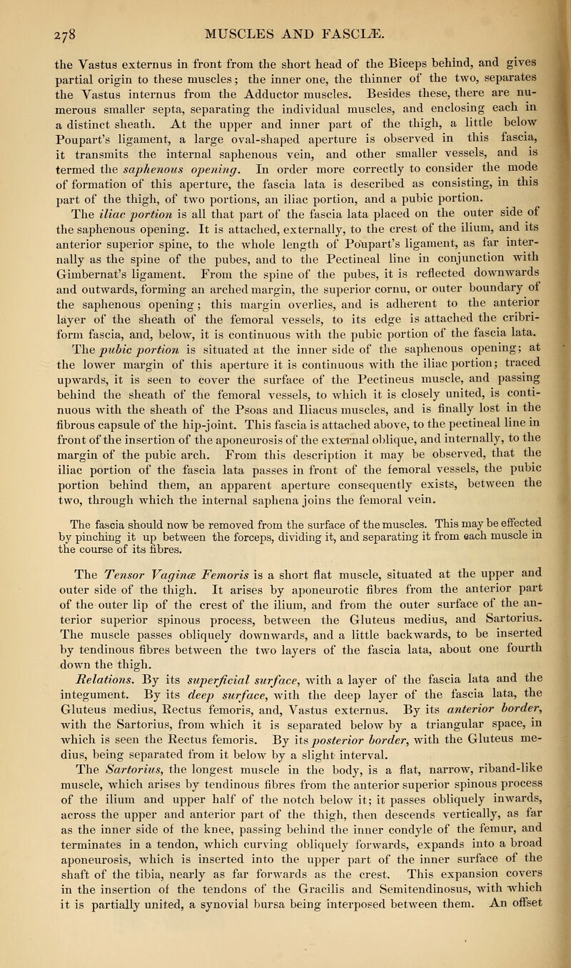 the Vastus externus in front from the short head of the Biceps behind, and gives partial origin to these muscles; the inner one, the thinner of the two, separates the Vastus internus from the Adductor muscles. Besides these, there are nu- merous smaller septa, separating the individual muscles, and enclosing each in a distinct sheath. At the upper and inner part of the thigh, a little below Poupart's ligament, a large oval-shaped aperture is observed in this fascia, it transmits the internal saphenous vein, and other smaller vessels, and is termed the saphenous opening. In order more correctly to consider the mode of formation of this aperture, the fascia lata is described as consisting, in this part of the thigh, of two portions, an iliac portion, and a pubic portion. The iliac portion is all that part of the fascia lata placed on the outer side of the saphenous opening. It is attached, externally, to the crest of the ilium, and its anterior superior spine, to the whole length of Po\ipart's ligament, as far inter- nally as the spine of the pubes, and to the Pectineal line in conjunction with Gimbernat's ligament. From the spine of the pubes, it is reflected downwards and outwards, forming an arched margin, the superior cornu, or outer boundary of the saphenous opening; this margin overlies, and is adherent to the anterior layer of the sheath of the femoral vessels, to its edge is attached the cribri- form fascia, and, below, it is continuous with the pubic portion of the fascia lata. The pubic portion is situated at the inner side of the saphenous opening; at the lower margin of this aperture it is continuous with the iliac portion; traced upwards, it is seen to cover the surface of the Pectineus muscle, and passing behind the sheath of the femoral vessels, to which it is closely united, is conti- nuous with the sheath of the Psoas and Iliacus muscles, and is finally lost in the fibrous capsule of the hip-joint. This fascia is attached above, to the pectineal line in front of the insertion of the aponeurosis of the external oblique, and internally, to the margin of the pubic arch. From this description it may be observed, that the iliac portion of the fascia lata passes in front of the femoral vessels, the pubic portion behind them, an apparent aperture consequently exists, between the two, through which the internal saphena joins the femoral vein. The fascia should now be removed from the surface of the muscles. This may be effected by pinching it up between the forceps, dividing it, and separating it from each muscle in the course of its fibres. The Tensor Vagince Femoris is a short flat muscle, situated at the upper and outer side of the thigh. It arises by aponeurotic fibres from the anterior part of the outer lip of the crest of the ilium, and from the outer surface of the an- terior superior spinous process, between the Gluteus medius, and Sartorius. The muscle passes obliquely downwards, and a little backwards, to be inserted by tendinous fibres between the two layers of the fascia lata, about one fourth down the thigh. Relations. By its superficial surface, with a layer of the fascia lata and the integument. By its deep surface, with the deep layer of the fascia lata, the Gluteus medius, Rectus femoris, and. Vastus externus. By its anterior border, with the Sartorius, from which it is separated below by a triangular space, in which is seen the Rectus femoris. By its posterior border, with the Gluteus me- dius, being separated from it below by a slight interval. The Sartorius, the longest muscle in the body, is a flat, narrow, riband-like muscle, which arises by tendinous fibres from the anterior superior spinous process of the ilium and upper half of the notch below it; it passes obliquely inwards, across the upper and anterior part of the thigh, then descends vertically, as far as the inner side of the knee, passing behind the inner condyle of the femur, and terminates in a tendon, which curving obliquely forwards, expands into a broad aponeurosis, which is inserted into the upper part of the inner surface of the shaft of the tibia, nearly as far forwards as the crest. This expansion covers in the insertion of the tendons of the Gracilis and Semitendinosus, with which it is partially united, a synovial bursa being interposed between them. An offset