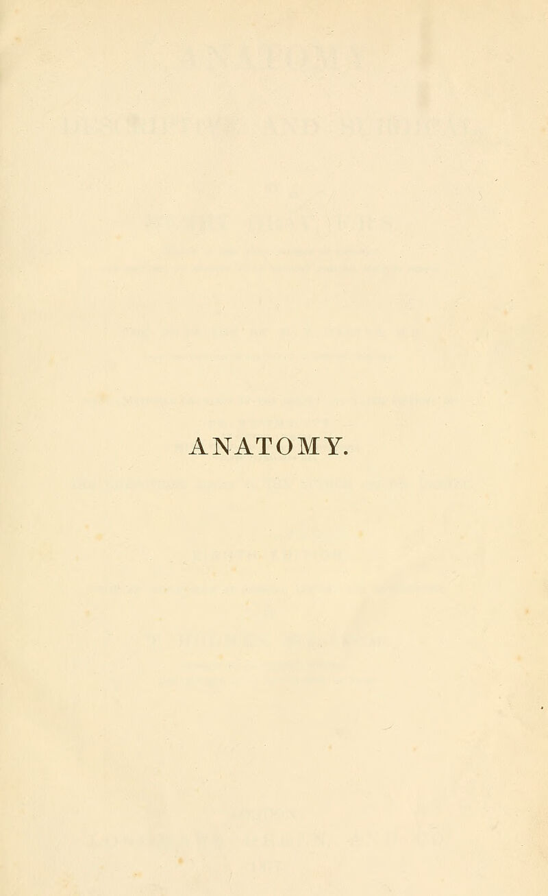 ANATOMY.