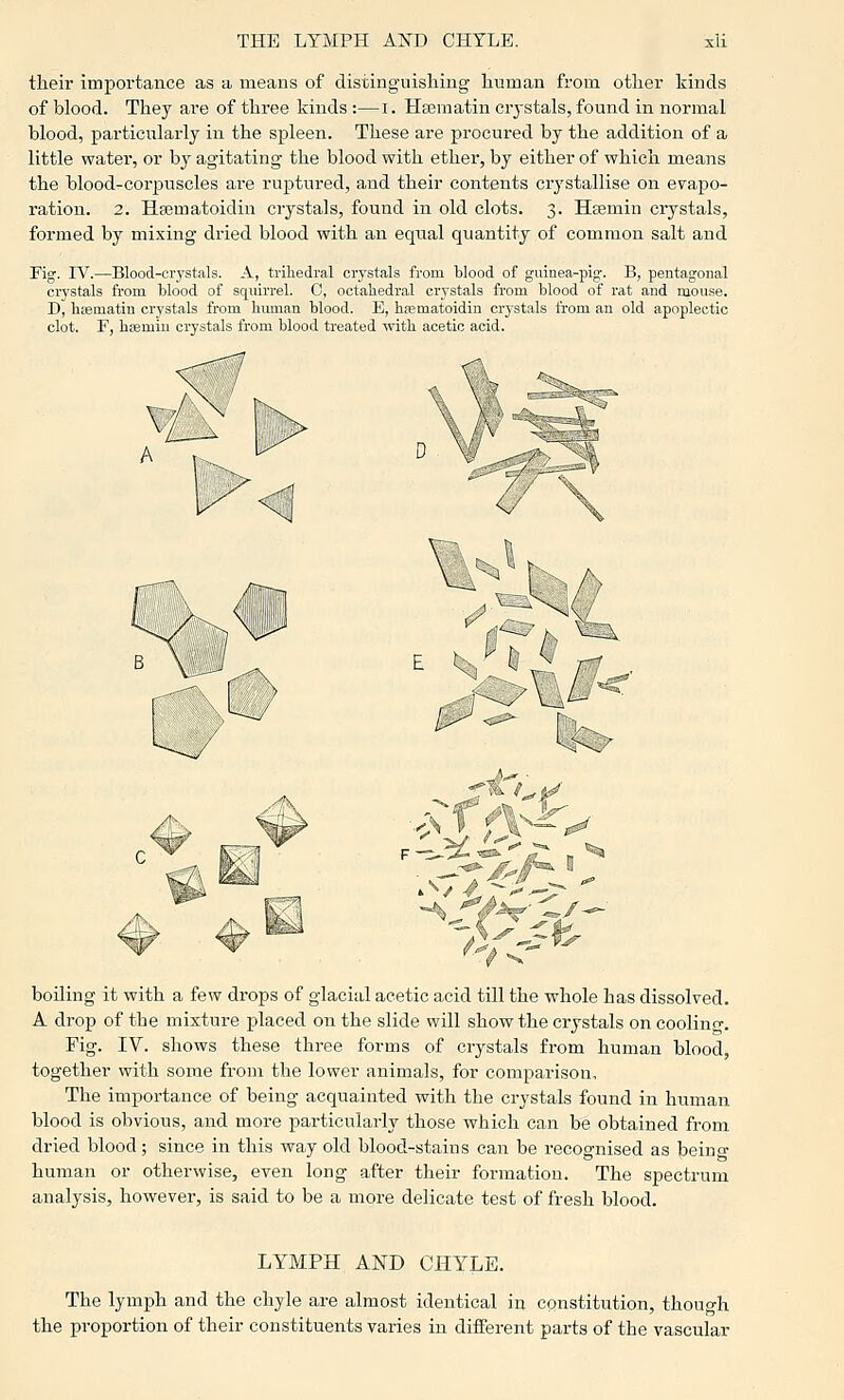 their importance as a means of distinguishing human from other kinds of blood. They are of three kinds :—i. Hsematin crystals, found in normal blood, particularly in the spleen. These are procured by the addition of a little water, or by agitating the blood with ether, by either of which means the blood-corpuscles are ruptured, and their contents crj^stallise on evapo- ration. 2. Hasmatoidin crystals, found in old clots. 3. Hsemin crystals, formed by mixing dried blood with an equal quantity of common salt and Fig. rV.—Blood-crystals. A, trihedral crystals from blood of guinea-pig'. B, pentagonal crystals from blood of squirrel. 0, octahedral crystals from blood of rat and niouse. D, hasmatin crystals from human blood. E, hsematoidin crystals from an old apoplectic clot. F, hsemiu crystals from blood treated with acetic acid. L \ , L \ boiling it with a few drops of glacial acetic acid till the whole has dissolved. A. drop of the mixture placed on the slide will show the crystals on coolino-. Fig. IV. shows these three forms of crystals from human blood, together with some from the lower animals, for comparison. The importance of being acquainted with the crystals found in human blood is obvious, and more particularly those which can be obtained from dried blood; since in this way old blood-stains can be recognised as being human or otherwise, even long after their formation. The spectrum analysis, however, is said to be a more delicate test of fresh blood. LYMPH AND CHYLE. The lymph and the chyle are almost identical in constitution, though the proportion of their constituents varies in different parts of the vascular