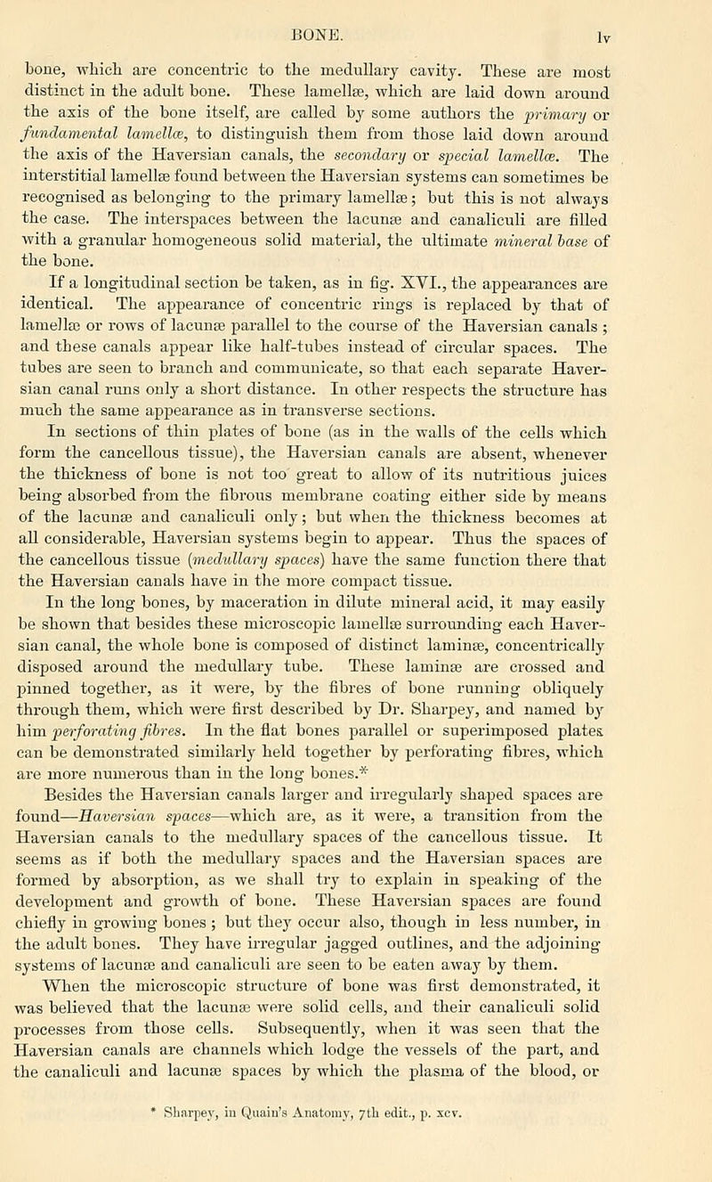 bone, wliich are concentric to the medullary cavity. These are most distinct in the adult bone. These lamellae, which are laid down around the axis of the bone itself, are called by some authors the primary or fundamental lamellce, to distinguish them from those laid down around the axis of the Haversian canals, the secondary or special lamellce. The interstitial lamellce found between the Haversian systems can sometimes be recognised as belonging to the primary lamellae; but this is not always the case. The interspaces between the lacunte and canaliculi are filled with a granular homogeneous solid material, the ultimate mineral base of the bone. If a longitudinal section be taken, as in fig. XVI., the appearances are identical. The appeai-ance of concentric rings is replaced by that of lamellae or rows of lacunae parallel to the course of the Haversian canals ; and these canals appear like half-tubes instead of circular spaces. The tubes are seen to branch and communicate, so that each separate Haver- sian canal rmis only a short distance. In other respects the structure has much the same appearance as in transverse sections. In sections of thin plates of bone (as in the walls of the cells which form the cancellous tissue), the Haversian canals are absent, whenever the thickness of bone is not too great to allow of its nutritious juices being absorbed from the fibrous membrane coating either side by means of the lacunae and canaliculi only; but when the thickness becomes at all considerable, Haversian systems begin to appear. Thus the spaces of the cancellous tissue {medullary spaces) have the same function there that the Haversian canals have in the more compact tissue. In the long bones, by maceration in dilute mineral acid, it may easily be shown that besides these microscopic lamelte surrounding each Haver- sian canal, the whole bone is composed of distinct laminae, concentrically disposed around the medullary tube. These laminaj are crossed and pinned together, as it were, by the fibres of bone running obliquely through them, which were first described by Dr. Sharpey, and named by him perforating fibres. In the flat bones parallel or superimposed plates, can be demonstrated similarly held together by perforating fibres, which are more numerous than in the long bones.* Besides the Haversian canals larger and irregularly shaped spaces are found—Haversian spaces—which are, as it were, a transition from the Haversian canals to the medullary spaces of the cancellous tissue. It seems as if both the medullary spaces and the Haversian spaces are formed by absorption, as we shall try to explain in speaking of the development and growth of bone. These Haversian spaces are found chiefly in growing bones ; but they occur also, though in less number, in the adult bones. They have irregular jagged outlines, and the adjoining- systems of lacunae and canaliculi are seen to be eaten away by them. When the microscopic structure of bone was first demonstrated, it was believed that the lacunae were solid cells, and their canaliculi solid processes from those cells. Subsequently, when it was seen that the Haversian canals are channels which lodge the vessels of the part, and the canaliculi and lacunae spaces by which the plasma of the blood, or * Sharpejf, in Quaiu'.s Anatomy, ytli edit., p. xcv.