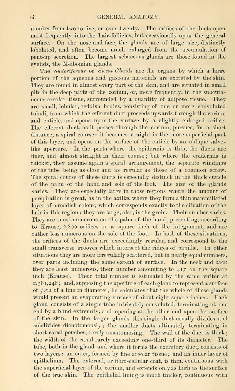 number from two to five, or- even twenty. The orifices of the ducts open most frequently into the hair-follicles, but occasionally upon the general surface. On the nose and face, the glands are of large size, distinctly lobulated, and often become much enlarged from the accumulation of pent-up secretion. The largest sebaceous glands are those found in the eyelids, the Meibomian glands. The Sudoriferous or Sweat-Glands are the organs by which a large portion of the aqueous and gaseous materials are excreted by the skin. They are found in almost every part of the skin, anrl are situated in small pits in the deep parts of the corium, or, more frequently, in the subcuta- neous areolar tissue, surrounded by a quantity of adipose tissue. They are small, lobular, reddish bodies, consisting of one or more convoluted tubuli, from which the efferent duct proceeds upwards through the corium and cuticle, and opens upon the surface by a slightly enlarged orifice. The efferent duct, as it passes through the corium, pursues, for a short distance, a spiral course: it becomes straight in the more superficial part of this layer, and opens on the surface of the cuticle by an oblique valve- like aperture. In the parts where the epidermis is thin, the ducts are finer, and almost straight in their course; but where the epidermis is thicker, they assume again a spiral arrangement, the separate windings of the tube being as close and as regular as those of a common screw. The spiral course of these ducts is especially distinct in the thick cuticle of the palm of the baud and sole of the foot. The size of the glands va,ries. They are especially large in those regions where the amount of perspiration is great, as in the axillae, where they form a thin mammillated layer of a reddish colour, which corresponds exactly to the situation of the hair in this region ; they are large, also, in the groin. Their number varies. They are most numerous on the palm of the hand, presenting, according to Krause, 2,800 orifices on a square inch of the integument, and are rather less numerous on the sole of the foot. In both of these situations, the oi'ifices of the ducts are exceedingly regular, and correspond to the small transverse grooves which intersect the ridges of papillae. In other situations they are more irregularly scattered, but in nearly equal numbers, over parts including the same extent of surface. In the neck and back they are least numerous, their number amounting to 417 on the square inch (Krause). Their total number is estimated by the same writer at 2,381,248 ; and, supposing the apertui-e of each gland to represent a surface of 3^th of a line in diameter, he calculates that the whole of these glands would present an evaporating surface of about eight square inches. Each gland consists of a single tube intricately convoluted, terminating at one end by a blind extremity, and opening at the other end upon tlie surface of the skin. In the larger glands this single duct usually divides and subdivides dichotomously; the smaller ducts ultimately terminating in short csecal pouches, rarely anastomosing. The wall of the duct is thick; the width of the canal rarel}' exceeding one-third of its diameter. The tube, both in the gland and where it forms the excretory duct, consists of two layers : an outer, formed by fine areolar tissue; and an inner layer of epithelium. The external, or fibro-cellular coat, is thin, continuous with the superficial layer of the corium, and extends only as high as the surface of the true skin. The epithelial lining is much thicker, continuous with