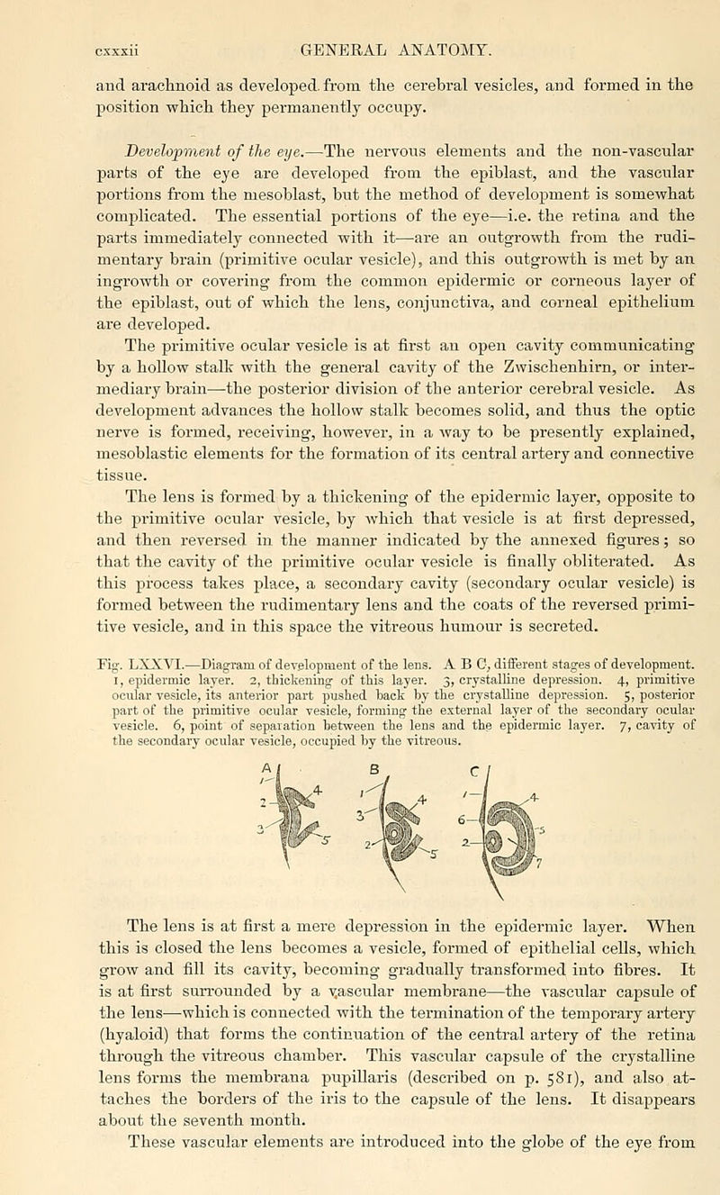 and arachnoid as developed, from the cerebral vesicles, and formed in the position which they permanently occupy. Development of the eye.—The nervous elements and the non-vascular parts of the eye are developed from the epiblast, and the vascular portions from the mesoblast, but the method of development is somewhat complicated. The essential portions of the eye—i.e. the retina and the parts immediately connected with it—are an outgrowth from the rudi- mentary brain (primitive ocular vesicle), and this outgrowth is met by an ingrowth or covering from the common exjidermic or corneous layer of the epiblast, out of which the lens, conjunctiva, and corneal epithelium are developed. The primitive ocular vesicle is at first an open cavity communicating by a hollow stalk with the general cavity of the Zwischenhirn, or inter- mediary brain—the posterior division of the anterior cerebral vesicle. As development advances the hollow stalk becomes solid, and thus the optic nerve is formed, receiving, however, in a way to be presently explained, mesoblastic elements for the formation of its central artery and connective tissue. The lens is formed by a thickening of the epidermic layer, opposite to the primitive ocular vesicle, by Avhich that vesicle is at first depressed, and then reversed in the manner indicated by the annexed figures; so that the cavity of the primitive ocular vesicle is finally obliterated. As this process takes place, a secondary cavity (secondary ocular vesicle) is formed between the rudimentary lens and the coats of the reversed primi- tive vesicle, and in this space the vitreous humour is secreted. Fig. LXXVI.—Diagram of development of tie lens. A B 0, different stages of development. I, epidermic layer. 2, thickening of this layer. 3, crystalline depression. 4, primitive ocular vesicle, its anterior part pushed back by the crystalline depression. 5, posterior part of the primitive ocular vesicle, forming the external layer of the secondary ocular vesicle. 6, point of separation between the lens and the epidermic layer. 7, cavity of the secondary ocular vesicle, occupied by the vitreous. The lens is at first a mere depression in the epidermic layer. When this is closed the lens becomes a vesicle, formed of epithelial cells, which grow and fill its cavity, becoming gradually transformed into fibres. It is at first surrounded by a yascnlar membrane—the vascular capsule of the lens—which is connected with the termination of the temporary artery (hyaloid) that forms the continuation of the central artery of the retina through the vitreous chamber. This vascitlar capsule of the crystalline lens forms the membrana pupillaris (described on p. 581), and also at- taches the borders of the iris to the capsule of the lens. It disappears about the seventh month. These vascular elements are introduced into the globe of the eye from