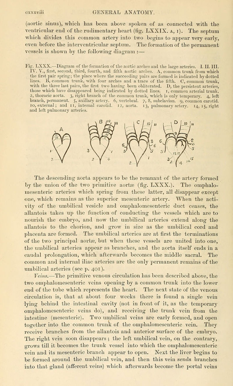 (aortic sinus), wliicli has been above spoken of as connected with the ventricular end of the rudimentary heart (fig. LXXIX. a, i). The septum which divides this common artery into two begins to appear very early, even before the interventricular septum. The formation of the permanent vessels is shown by the following diagram :— Fifj. LXXX.—Diagram of the formation of the aortic arches and the large arteries. I. II. III. IV. v., first, second, third, foiu-th, and fifth aortic arclies. A, common trunk from which the first pair spring; the place wliere the succeeding pairs are formed is indicated by dotted lines. B, common trunk, with foiu' arches and a trace of the fifth. 0, common trunk, with the three last pairs, the first two having heen obliterated. D, the persistent arteries, those which have disappeared being indicated by dotted lines, i, common arterial trunk. 2, thoracic aorta. 3, right branch of the common trunk, which is only temporary. 4, left branch, permanent. 5, axillary artery. 6, vertebral. 7, 8, subcla-sdan. 9, common carotid. 10, external; and II, internal carotid. 12, aorta. 13, pulmonary artery. 14, 15, right and left puhnonary arteries. The descending aorta appears to be the remnant of the artery formed by the union of the two primitive aortse (fig. LXXX.). The omphalo- mesenteric arteries which spring from these latter, all disappear except one, which remains as the superior mesenteric artery. Wlien the acti- vity of the umbilical vesicle and omphalomesenteric duet ceases, the allantois takes up the function of conducting the vessels which ai-e to nourish the embryo, and now the umbilical arteries extend along the allantois to the chorion, and grow in size as the umbilical cord and placenta are formed. The umbilical arteries are at fi.rst the terminations of the two principal aortse, but when these vessels are united into one, the umbilical arteries appear as branches, and the aorta itself ends in a caudal prolongation, which afterwards becomes the middle sacral. The common and internal iliac arteries are the only permanent remains of the umbilical arteries (see p. 401). Veins.—The primitive venous circulation has been described above, the two omphalomesenteric veins opening by a common tritnk into the lower end of the tube which represents the heart. The next state of the venous circulation is, that at about four weeks there is found a single vein lyitig behind the intestinal cavity (not in front of it, as the temporary omphalomesenteric veins do), and receiving the trunk vein from the intestine (mesenteric). Two umbilical veins are early formed, and open together into the common trunk of the omphalomesenteric vein. They receive branches from the allantois and anterior surface of the embryo. The right vein soon disappears ; the left umbilical vein, on the contrary, grows till it becomes the trunk vessel into which the omphalomesenteric vein and its mesenteric branch appear to open. Next the liver begins to be formed around the umbilical vein, and then this vein sends branches into that gland (afferent veins) which afterwards become the portal veins